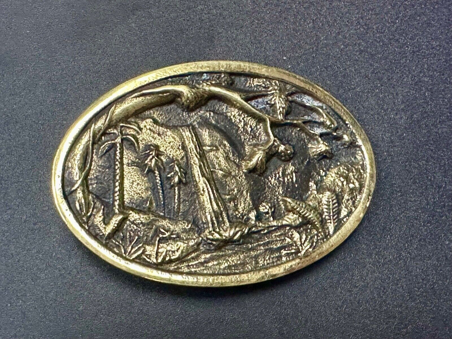 Beautiful water fall nature scene on Vintage BTS solid brass belt buckle