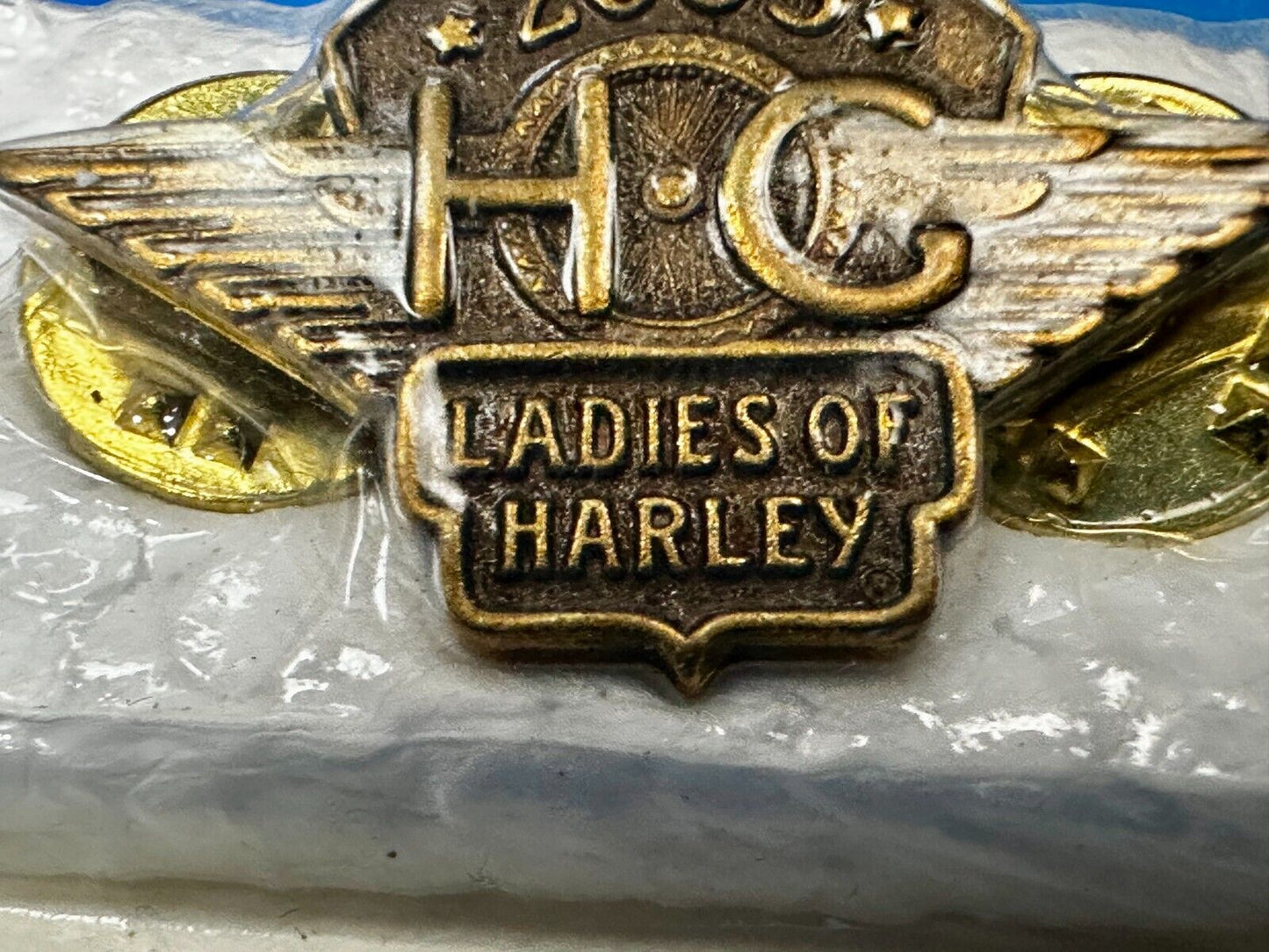 2005 Ladies of Harley Davidson Owners Group HOG NOS Pin for Jacket or Vest
