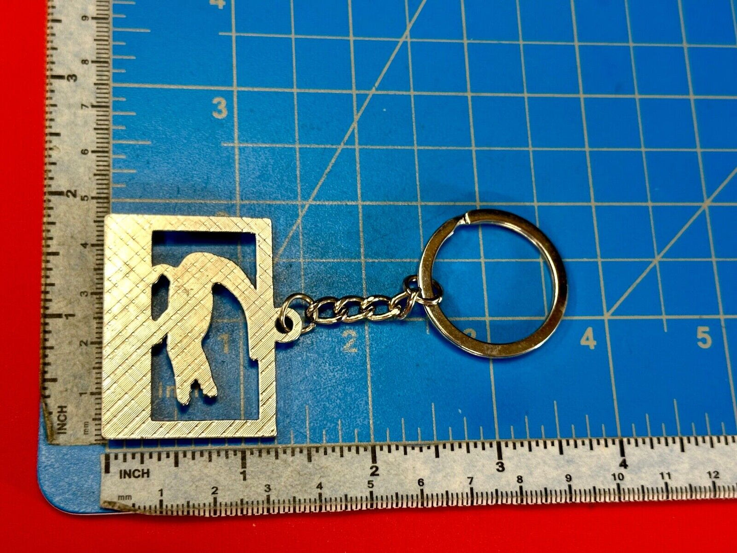 Alligator, Florida, The Sunshine State souvenir Keychain - Key Ring Chain