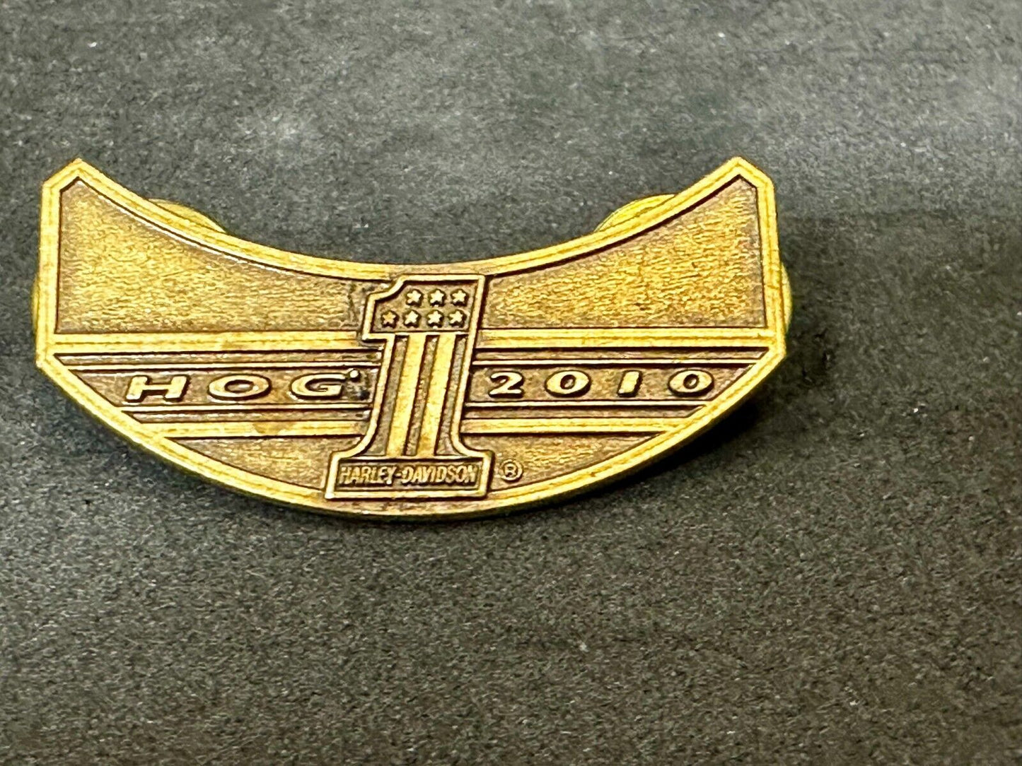 2010 Harley Davidson Owners Group HOG Pin for Jacket or Vest