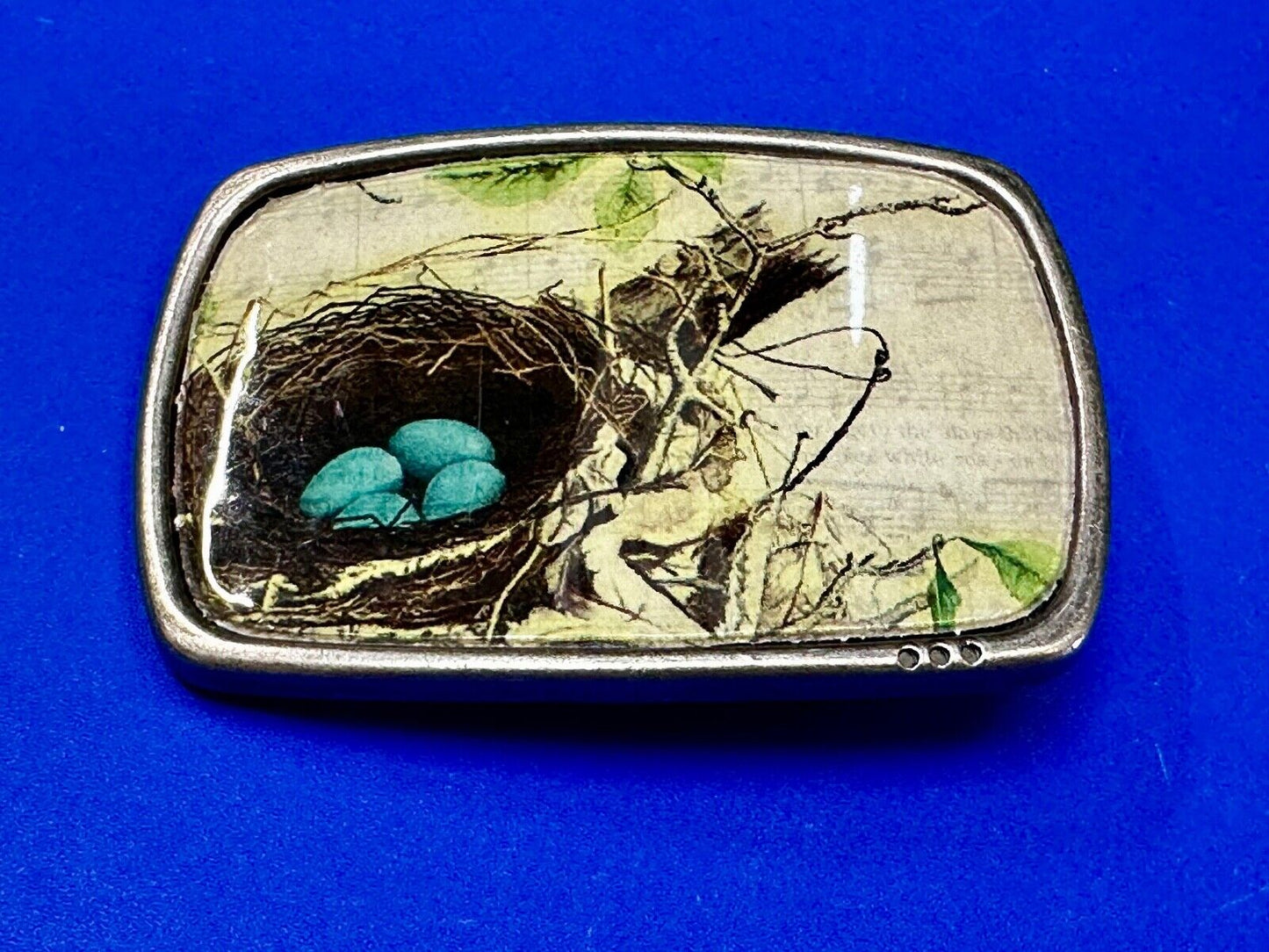 Birds Nest Blue Egg Art Inspired Nature Scene Rectangular Vintage Belt Buckle