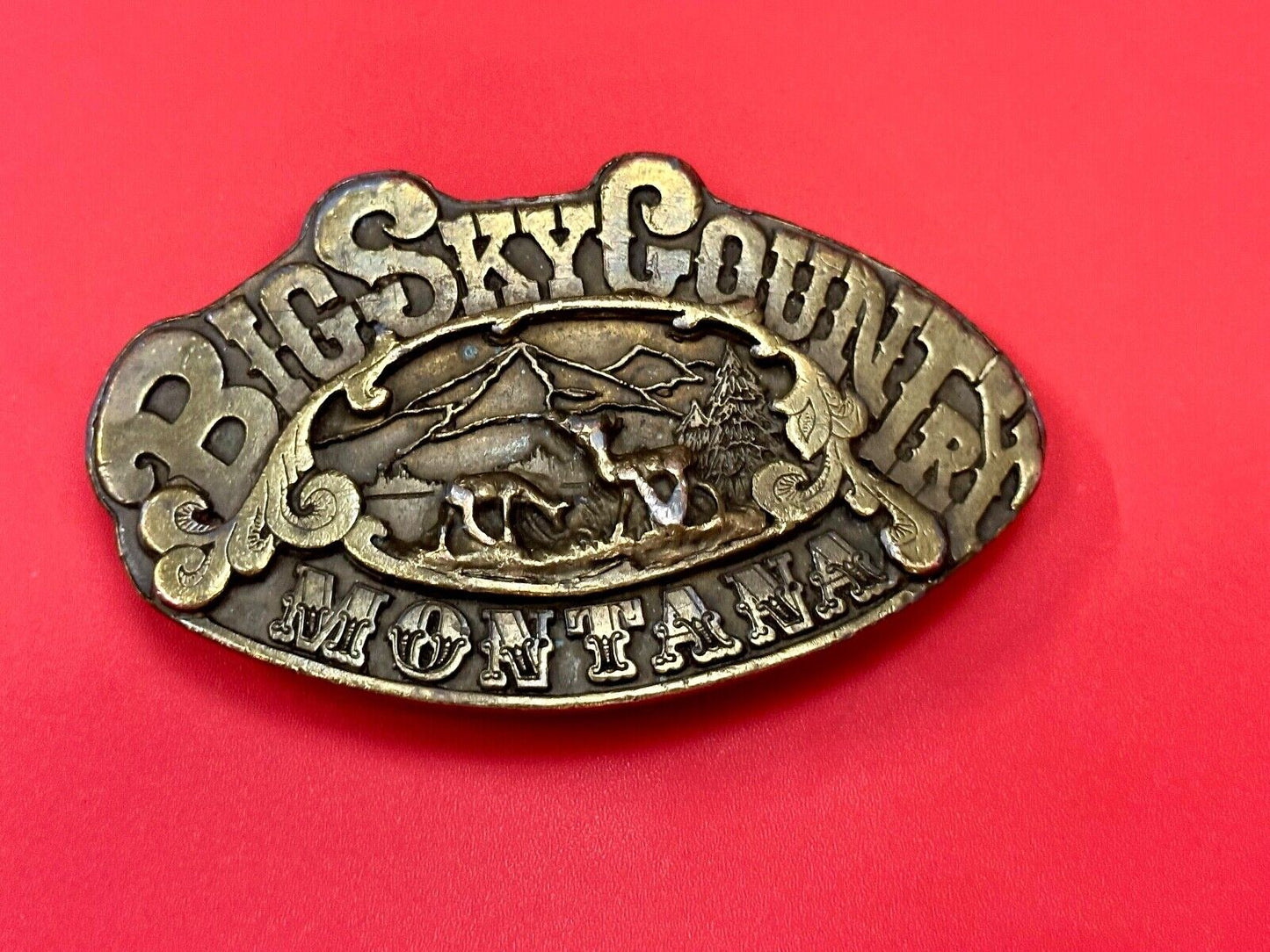 Big Sky Country Montana Vintage Collectable belt buckle by Adezy