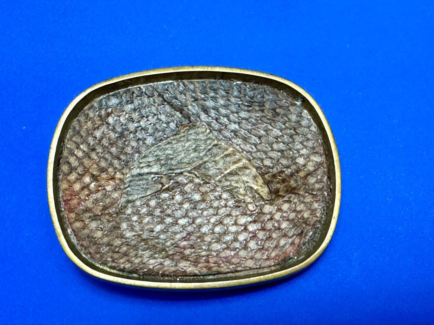 Artisan jumping fish on snake skin solid brass belt buckle