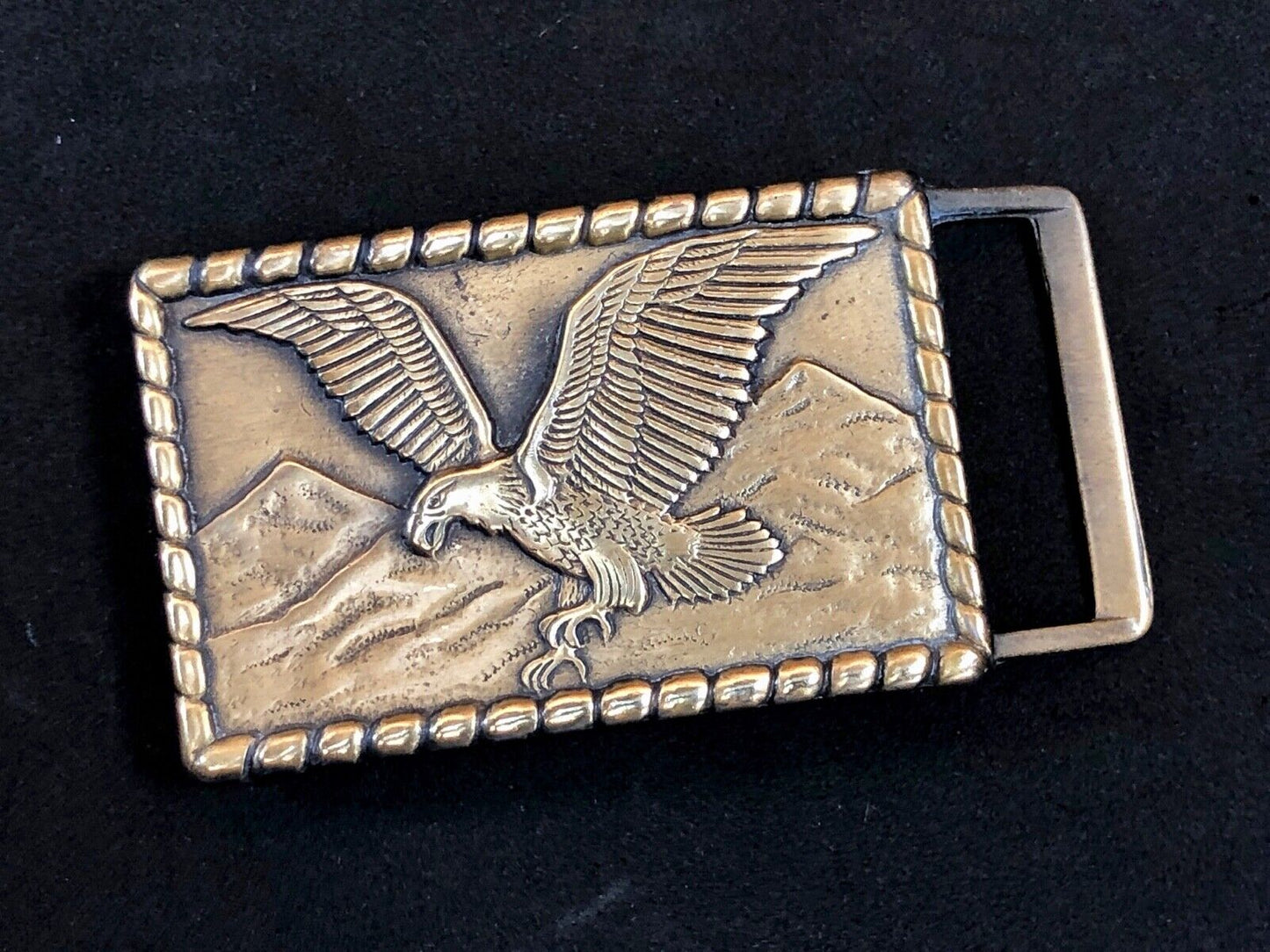Vintage BRASS TONE or REAL? FLYING EAGLE BELT BUCKLE - western rope boarder