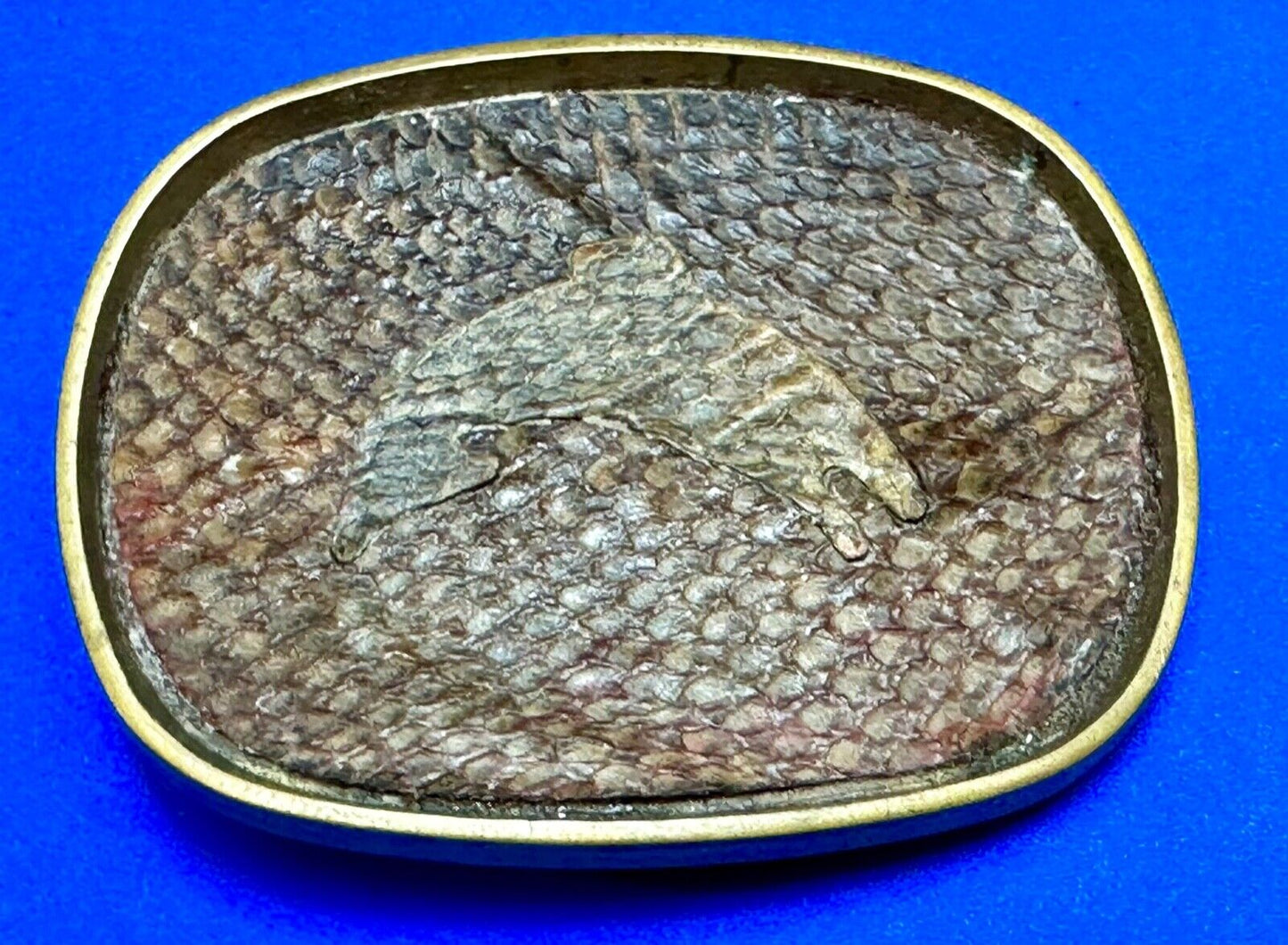 Artisan jumping fish on snake skin solid brass belt buckle