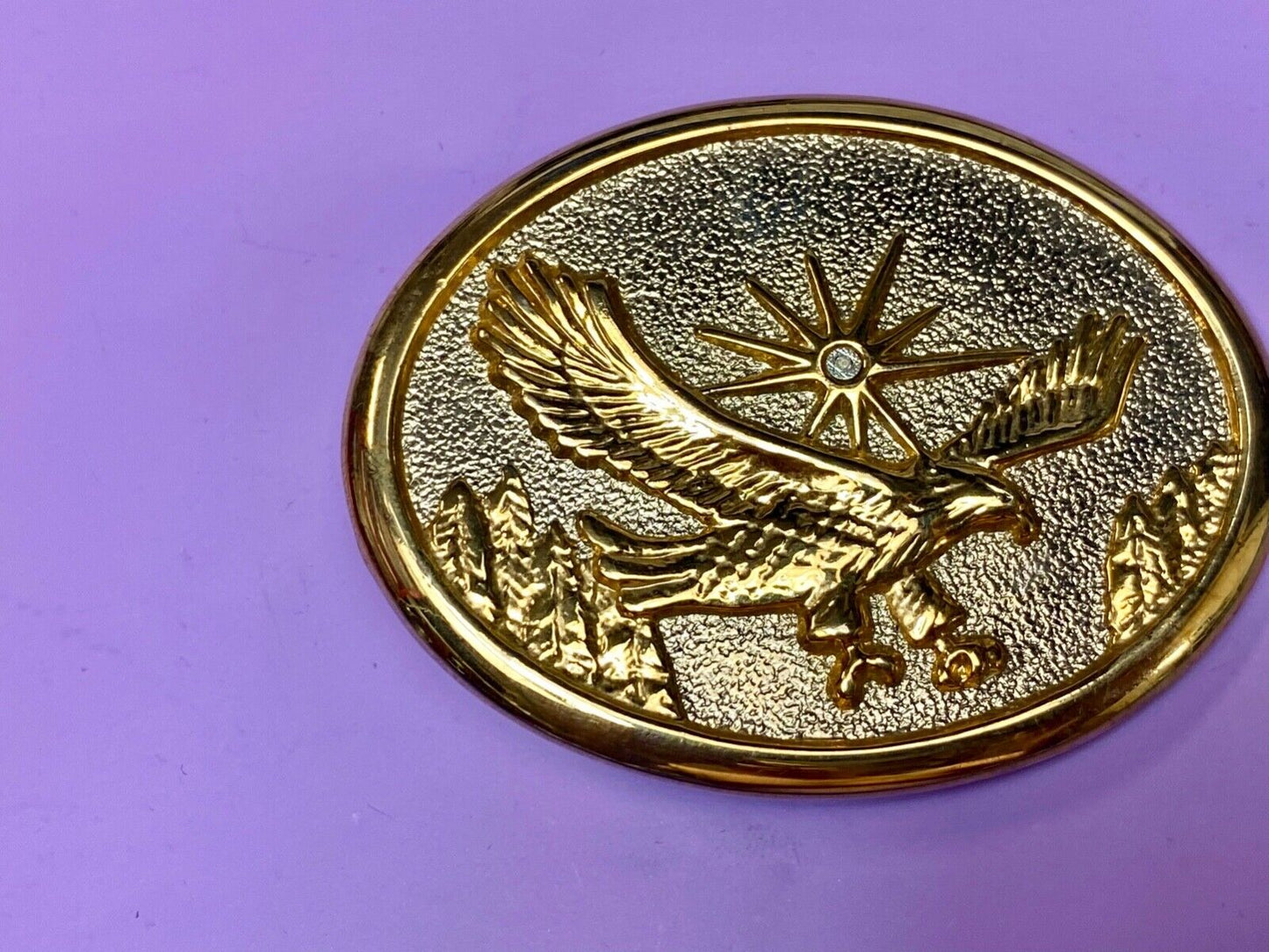 Vintage Eagle Flying Over Mountains With Sunburst two tone belt buckle