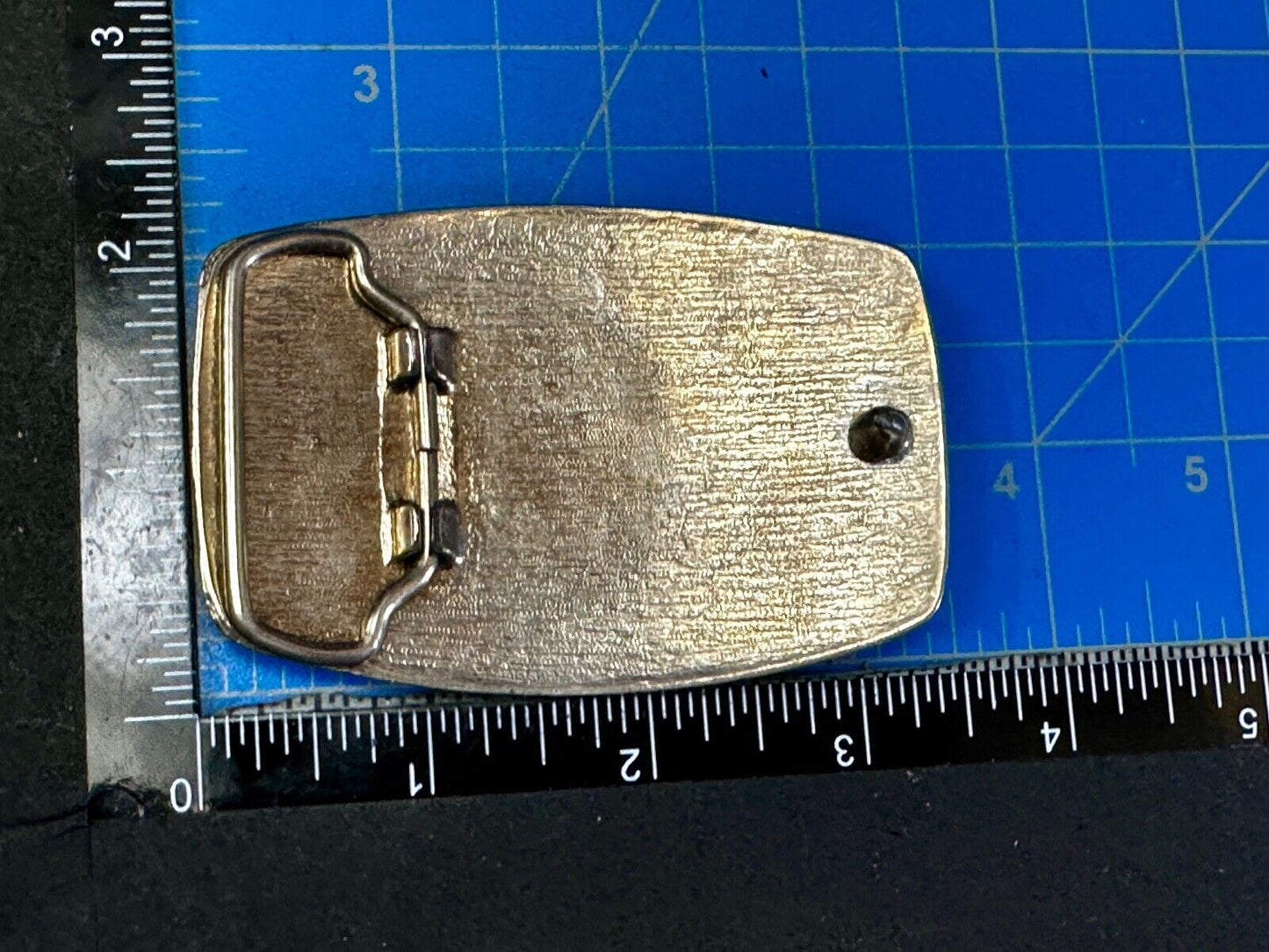 The 1982 World's Fair Knoxville Tennessee Souvenir Commemorative Belt Buckle