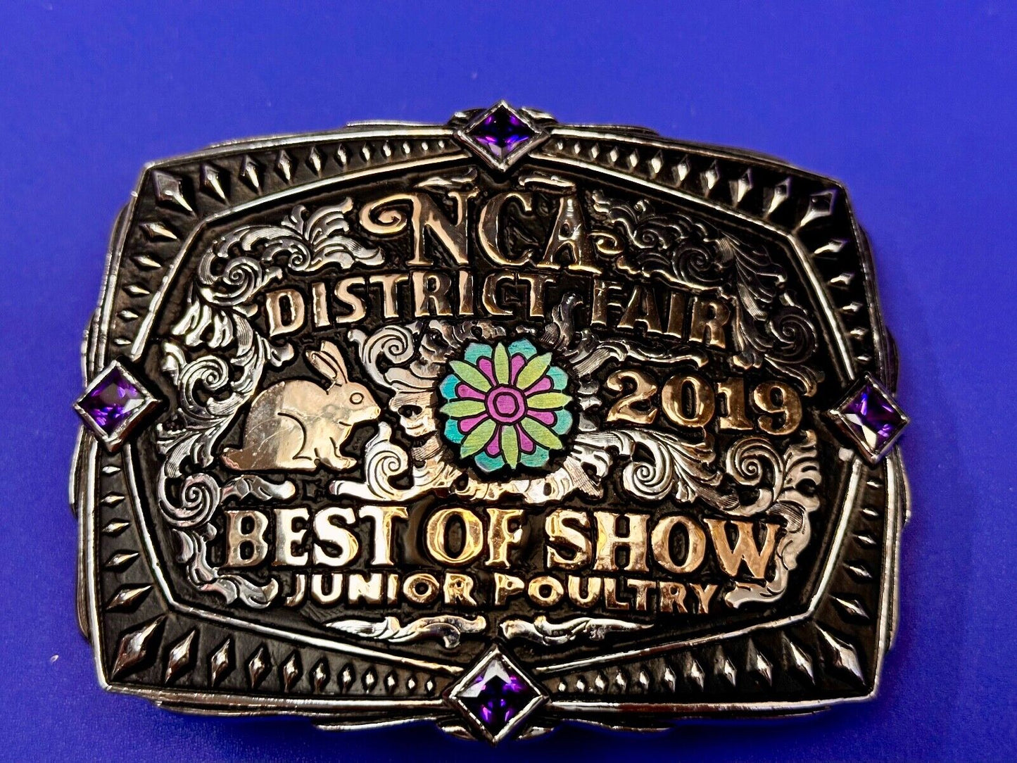 Best of Show JR poultry Trophy NCA District Fair 2019 Arkansas belt buckle By KS
