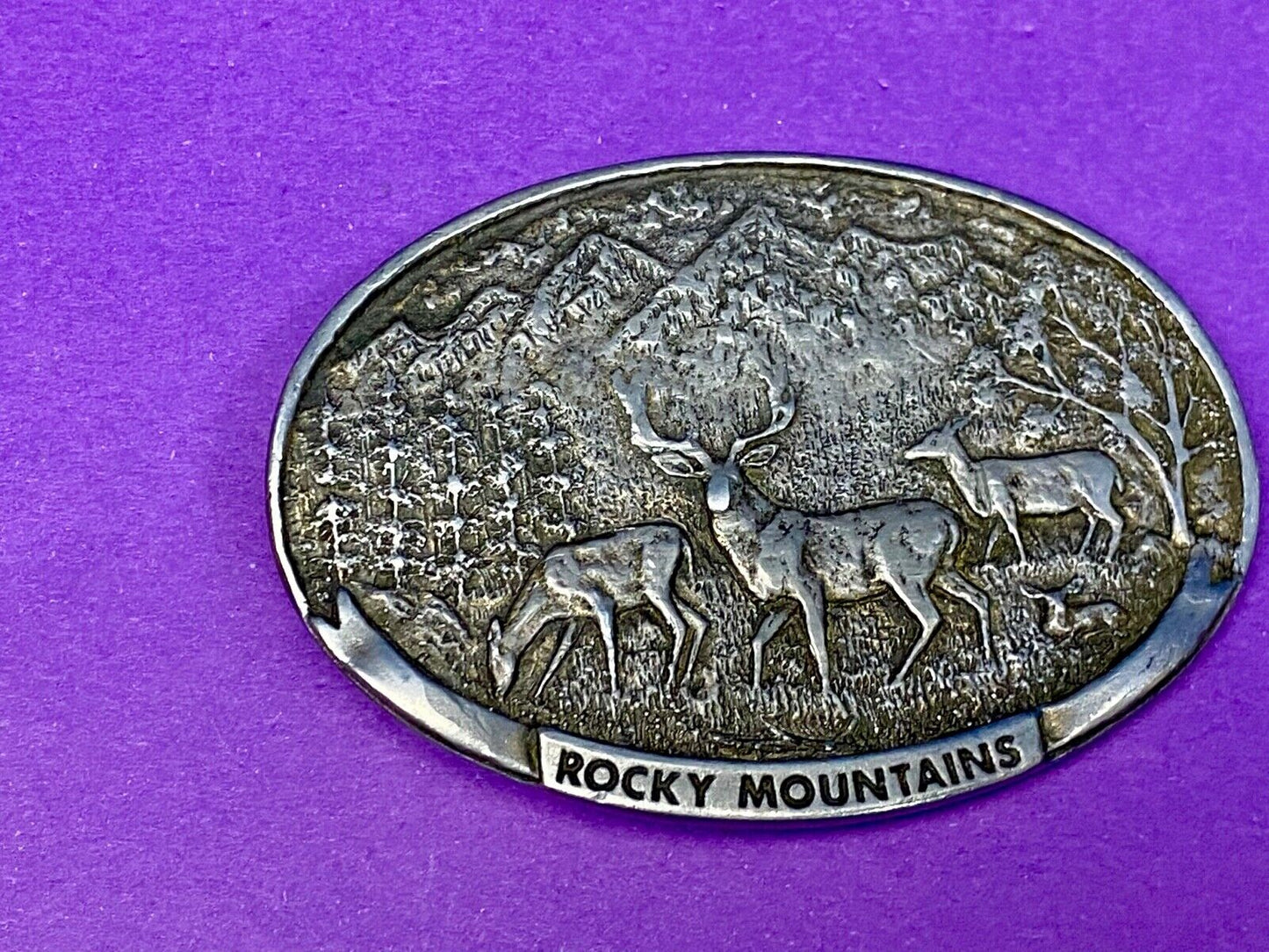 Vintage Deer in nature, Rocky Mountains Belt buckle by Spec Cast