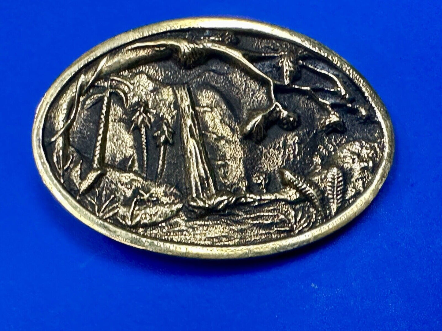 Beautiful water fall nature scene on Vintage BTS solid brass belt buckle