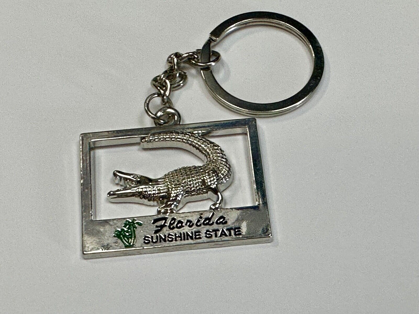 Alligator, Florida, The Sunshine State souvenir Keychain - Key Ring Chain