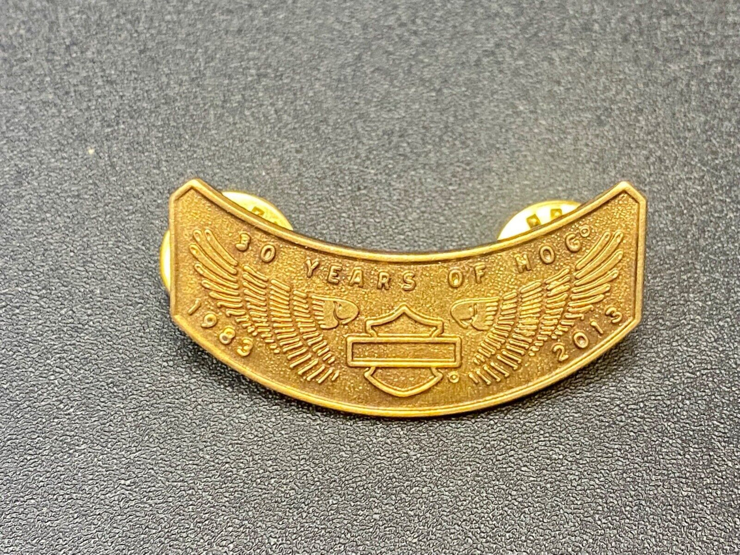 2013 Ten Years Of Hog Harley Davidson Owners Group Motorcycles Pin