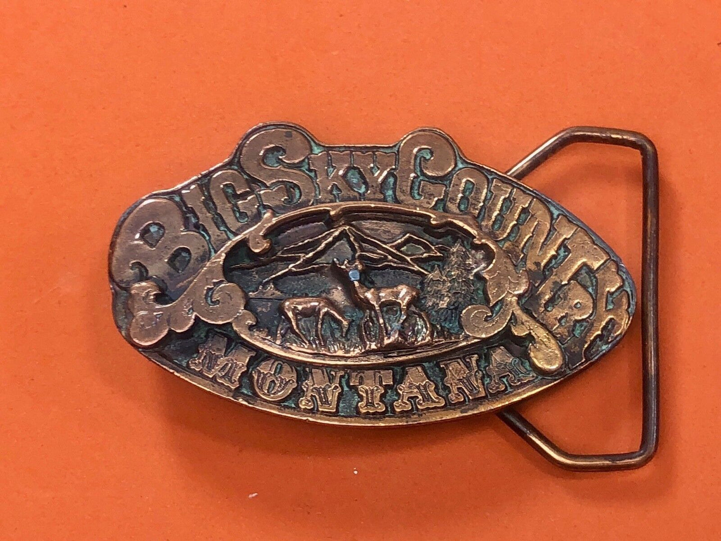 Vintage 1976 Rare Big Sky Country Montana Vintage Adezy 3D Copper Belt Buckle