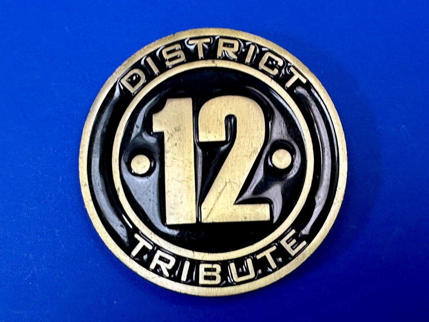 The Hunger Games, District 12 Tribute - Movie Book Emblem belt buckle