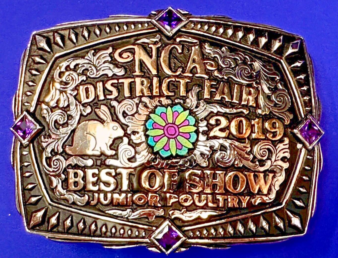Best of Show JR poultry Trophy NCA District Fair 2019 Arkansas belt buckle By KS