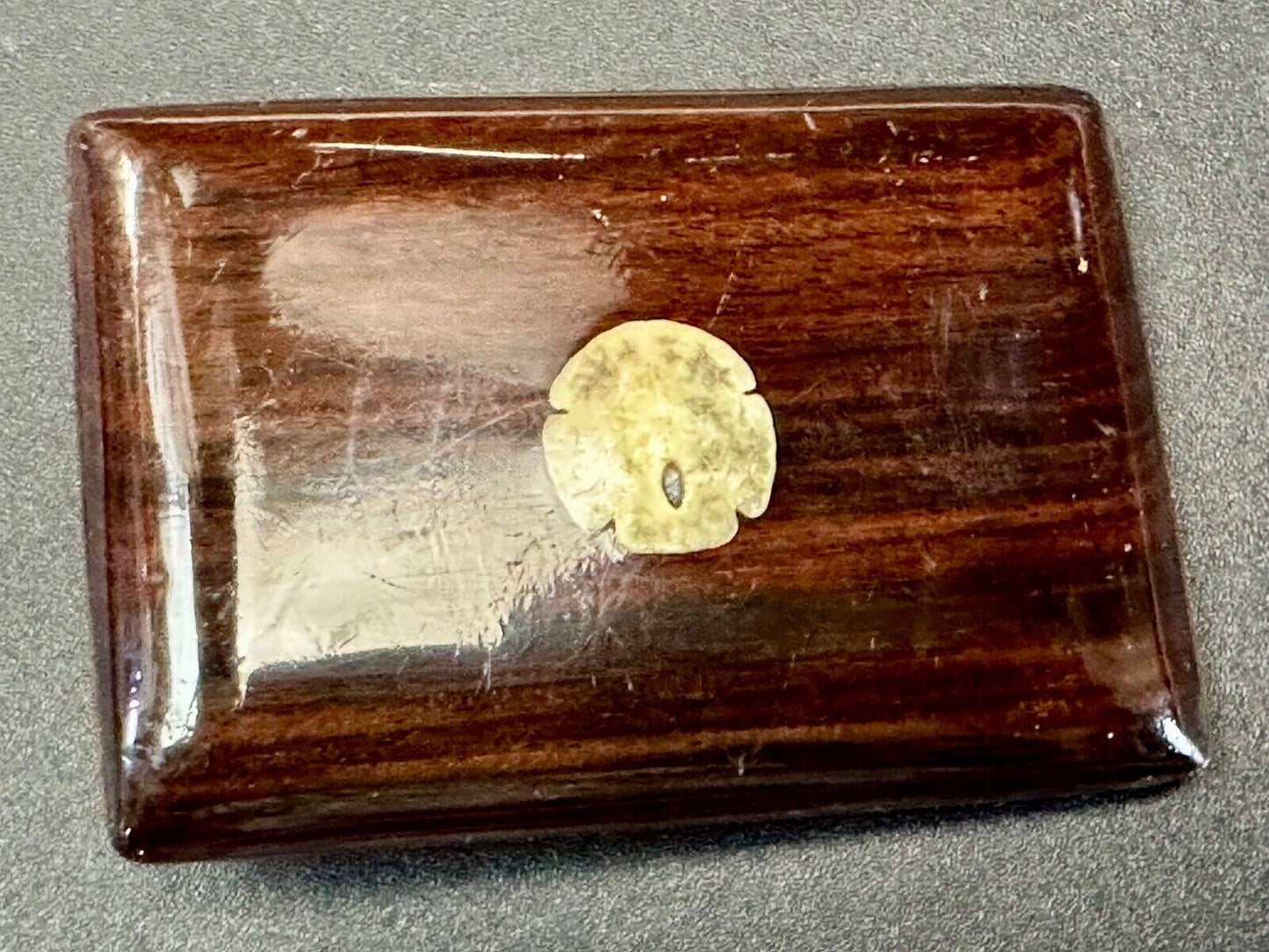 Artisan wood belt buckle with small inlaid sand dollar sea shell