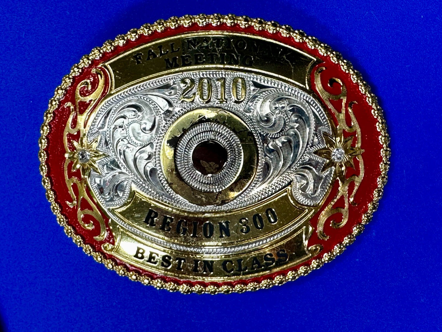 2010 Fall National Meeting Region 300 Best in Class Award Trophy Belt Buckle