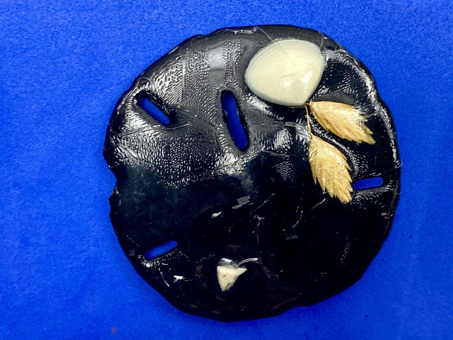 Artisan Black Sand Dollar Ocean Theme Shell belt buckle