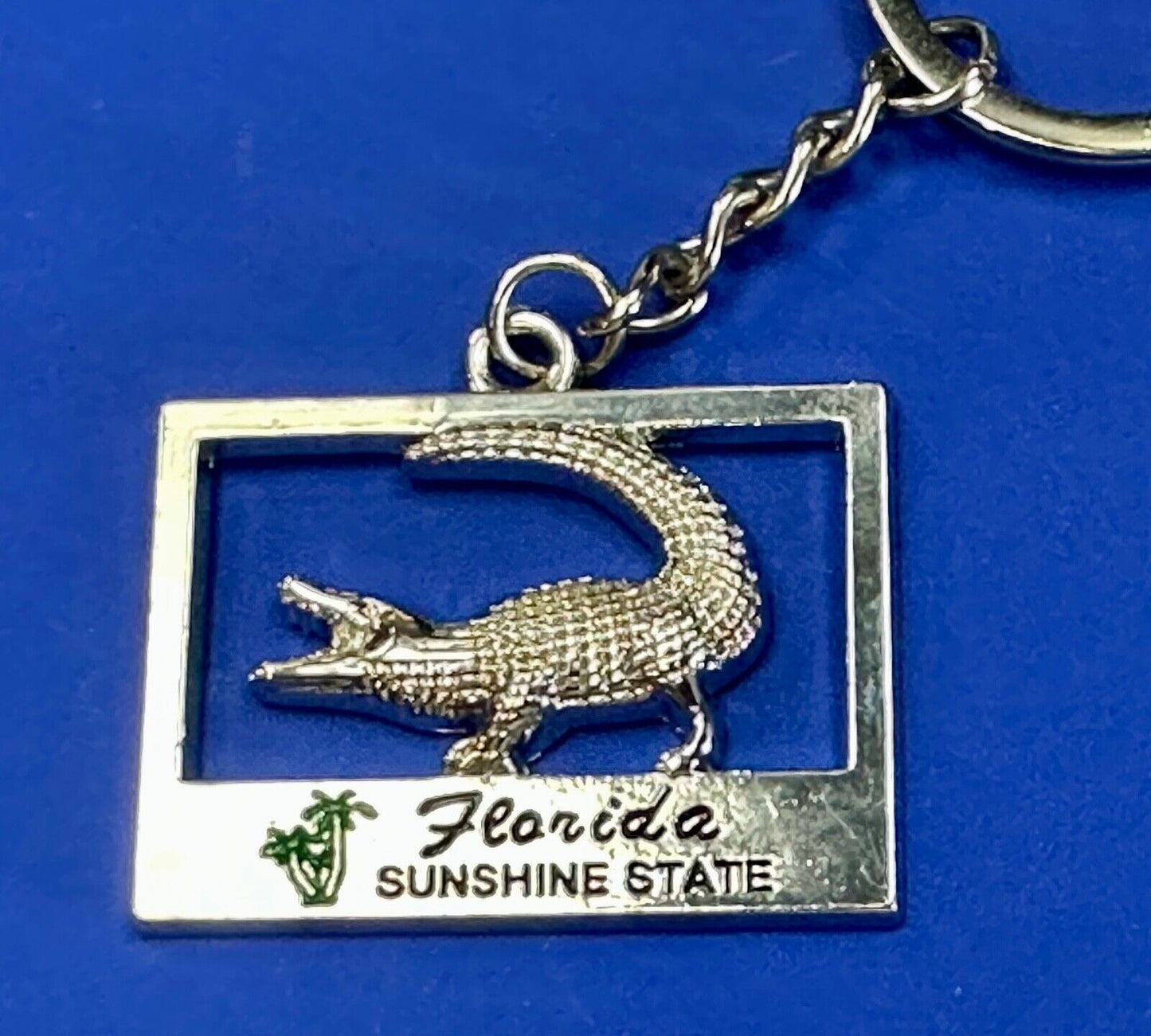 Alligator, Florida, The Sunshine State souvenir Keychain - Key Ring Chain
