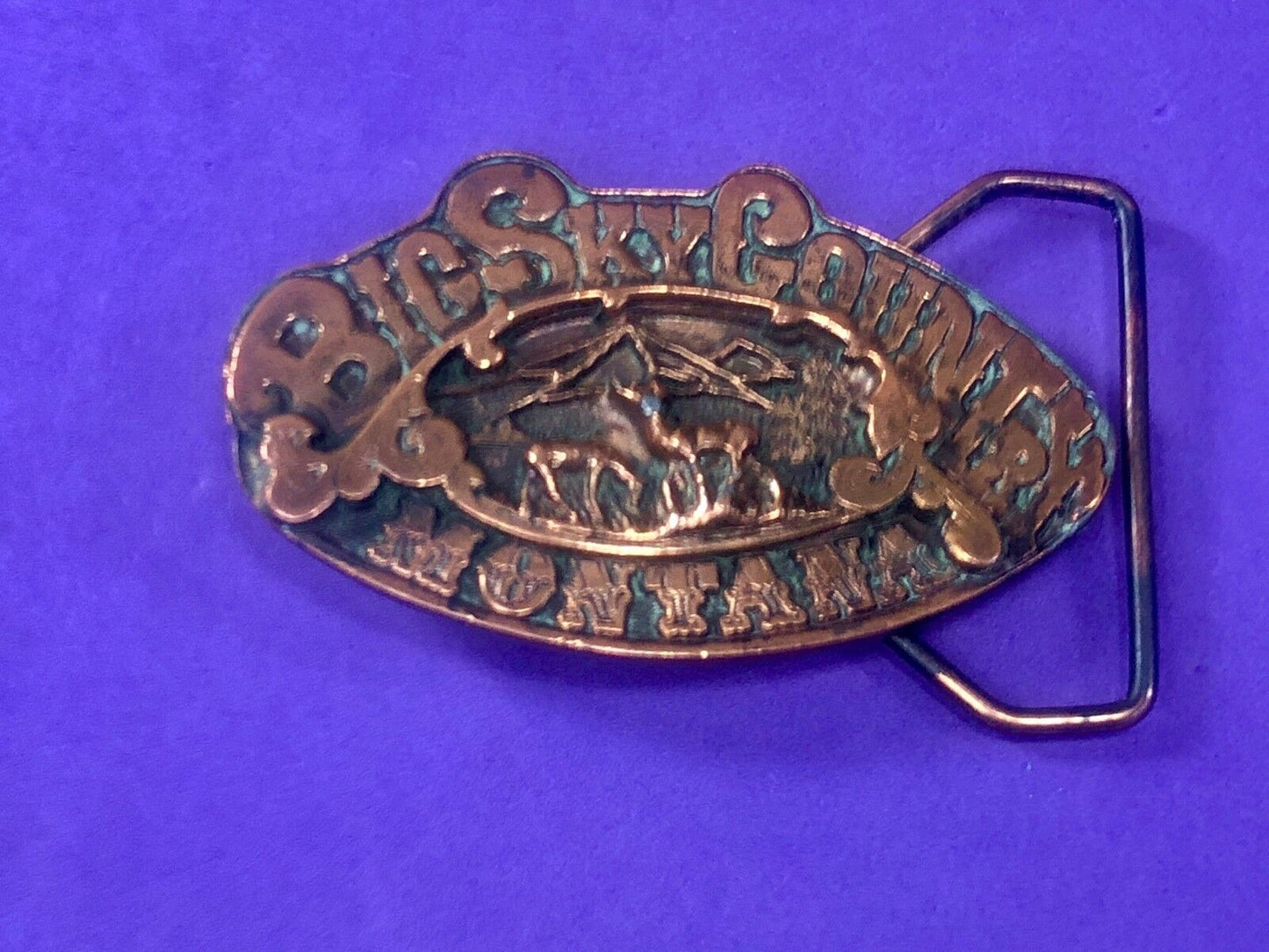 Vintage 1976 Rare Big Sky Country Montana Vintage Adezy 3D Copper Belt Buckle