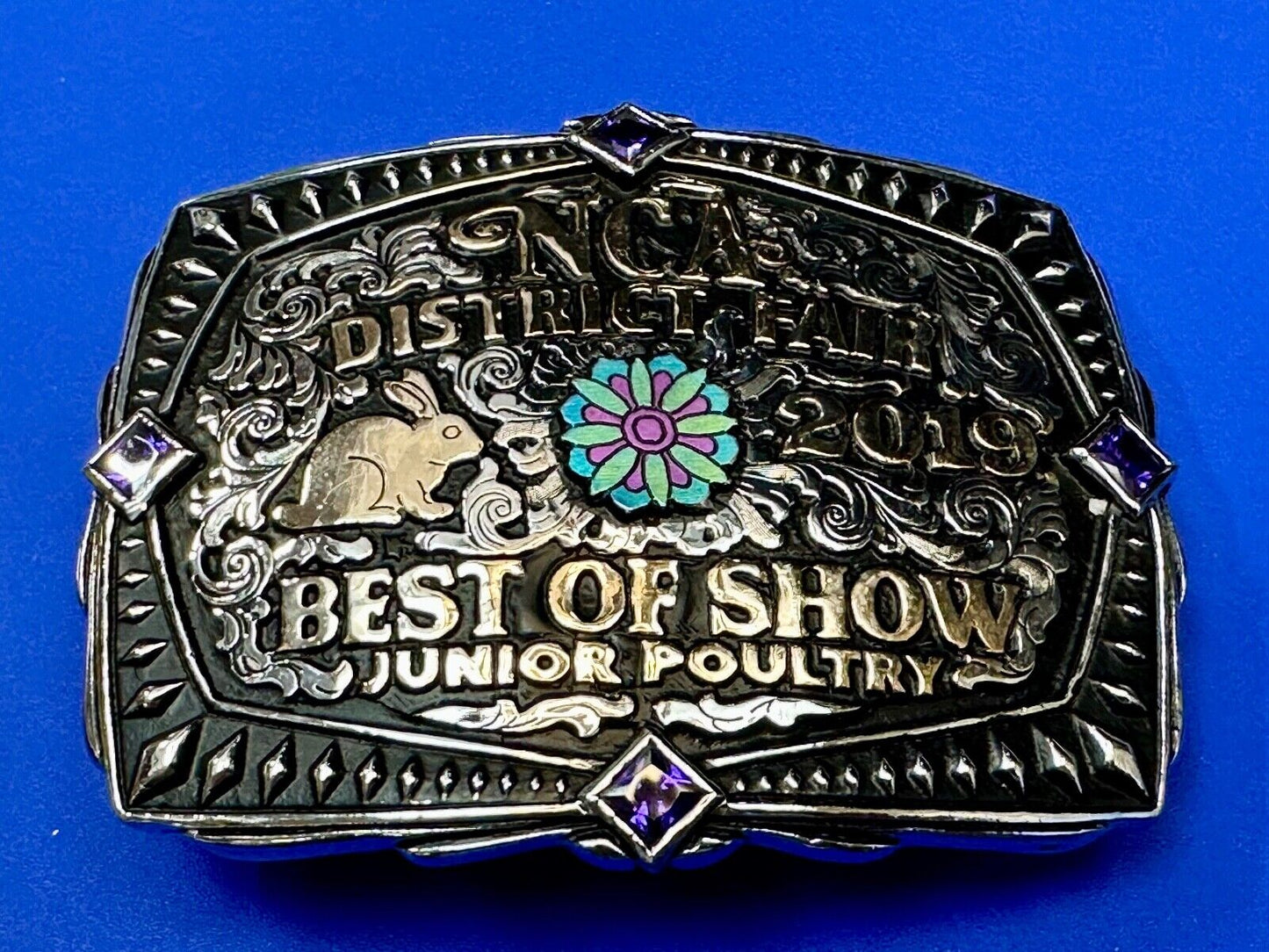 Best of Show JR poultry Trophy NCA District Fair 2019 Arkansas belt buckle By KS