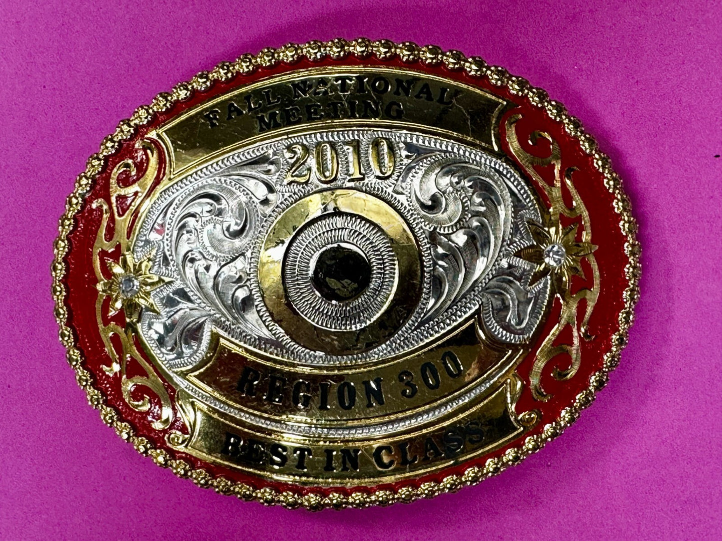 2010 Fall National Meeting Region 300 Best in Class Award Trophy Belt Buckle