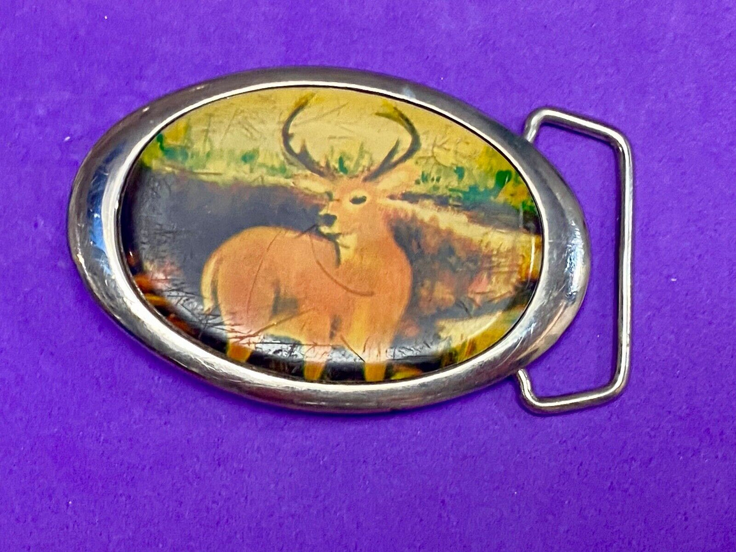 Vintage 1987 PICTURE OF DEER IN NATURE - HUGE RACK! Solid Brass TN belt buckle