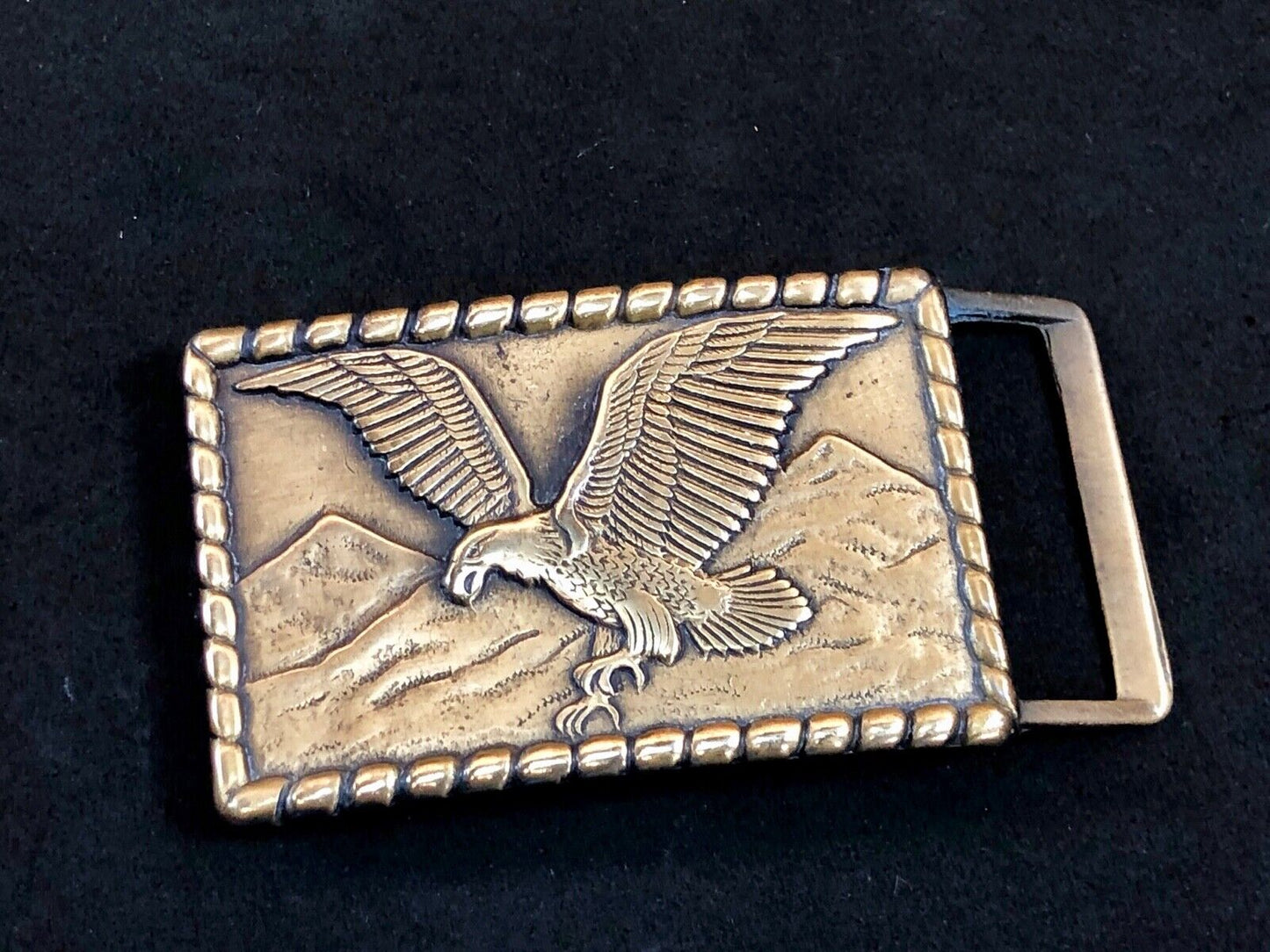 Vintage BRASS TONE or REAL? FLYING EAGLE BELT BUCKLE - western rope boarder