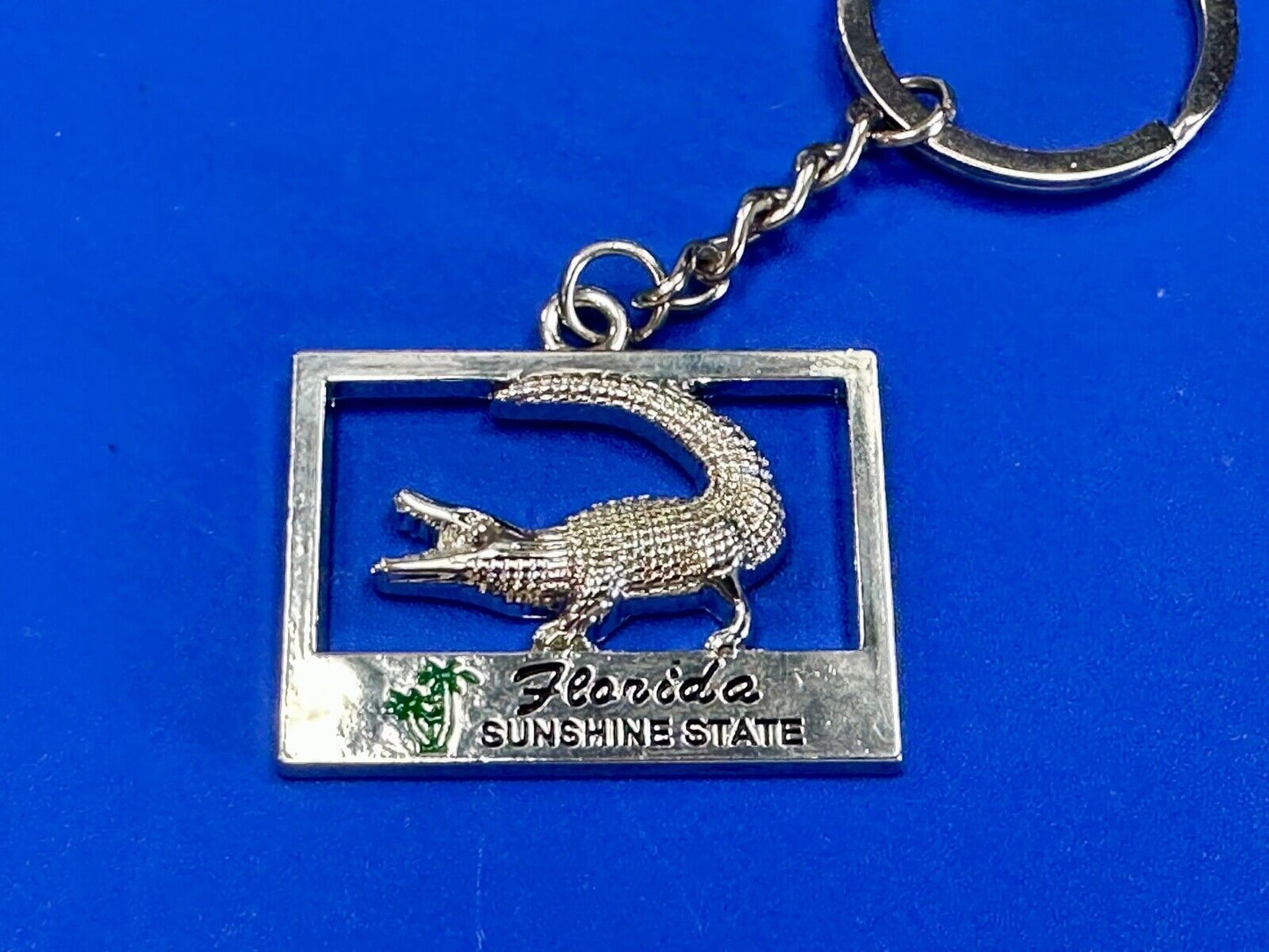 Alligator, Florida, The Sunshine State souvenir Keychain - Key Ring Chain