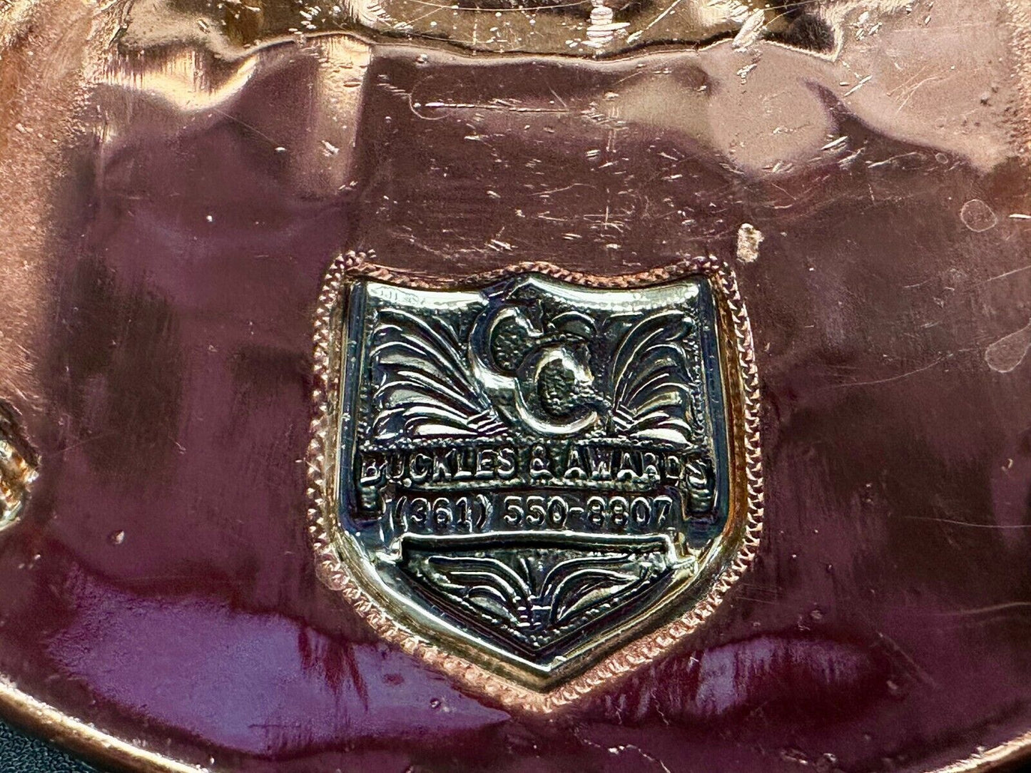 TJHRA Texas Jr. Rodeo 2021 Bareback Steer Riding Champion Trophy Belt Buckle