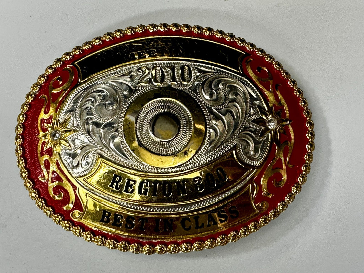2010 Fall National Meeting Region 300 Best in Class Award Trophy Belt Buckle