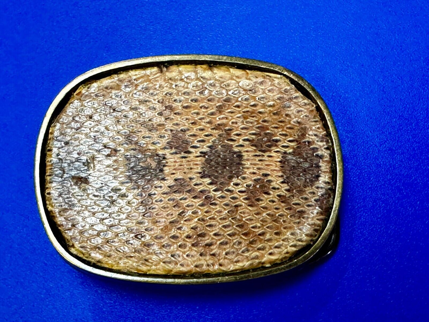 Unique Brown Snake Skin Vintage Textured Leather On Brass Tone Belt Buckle