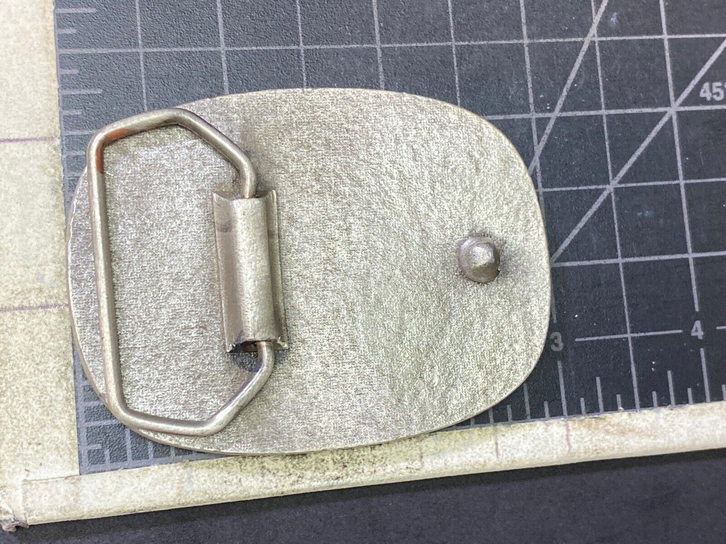 Teaching Future Rodeo Cowboys Grooming Belt Buckle Art Unique And Unknown To Me!