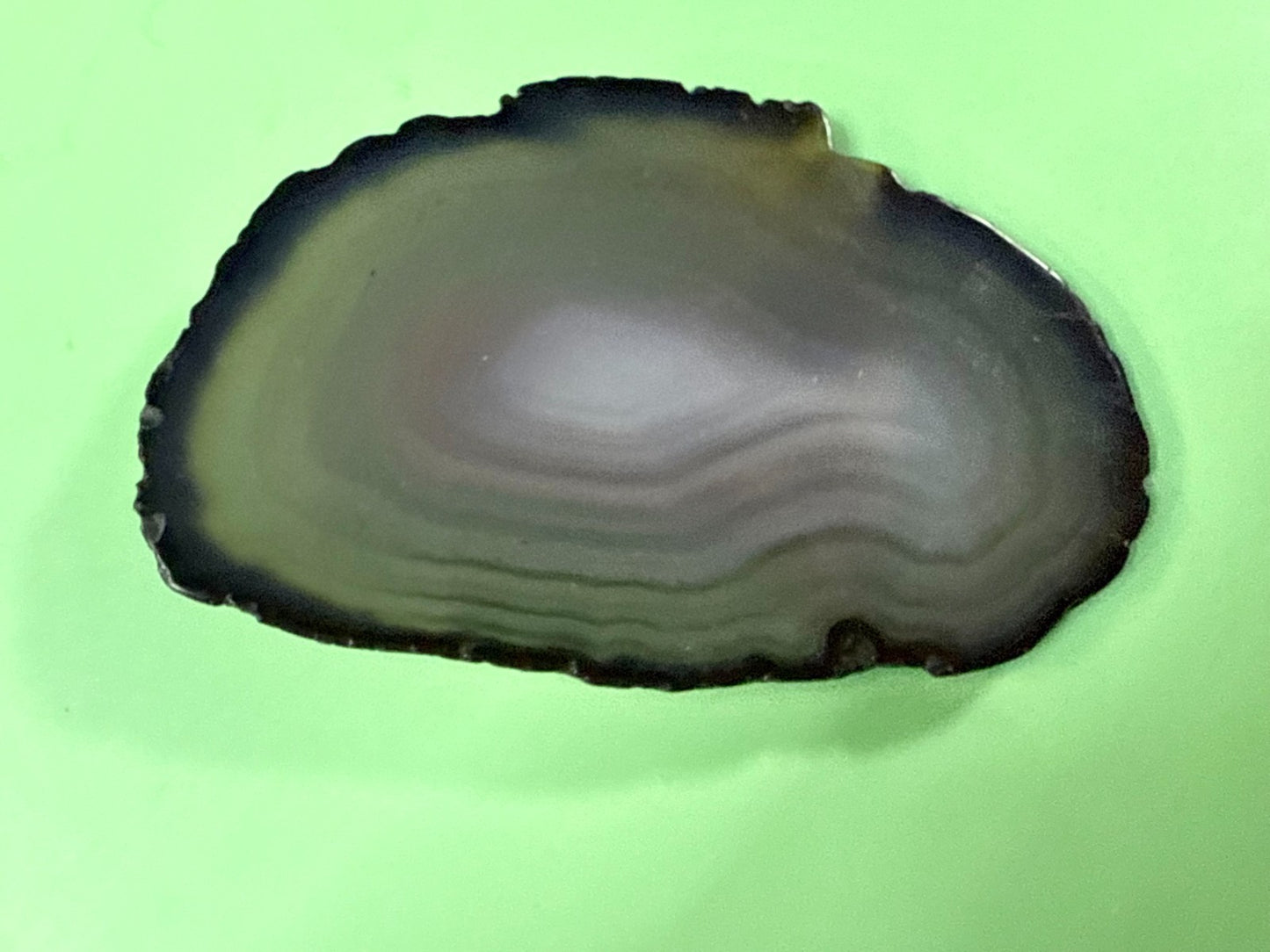 Beautiful Agate Slice Slab Natural Stone Gray Blue Hippy Boho Vibe Belt Buckle