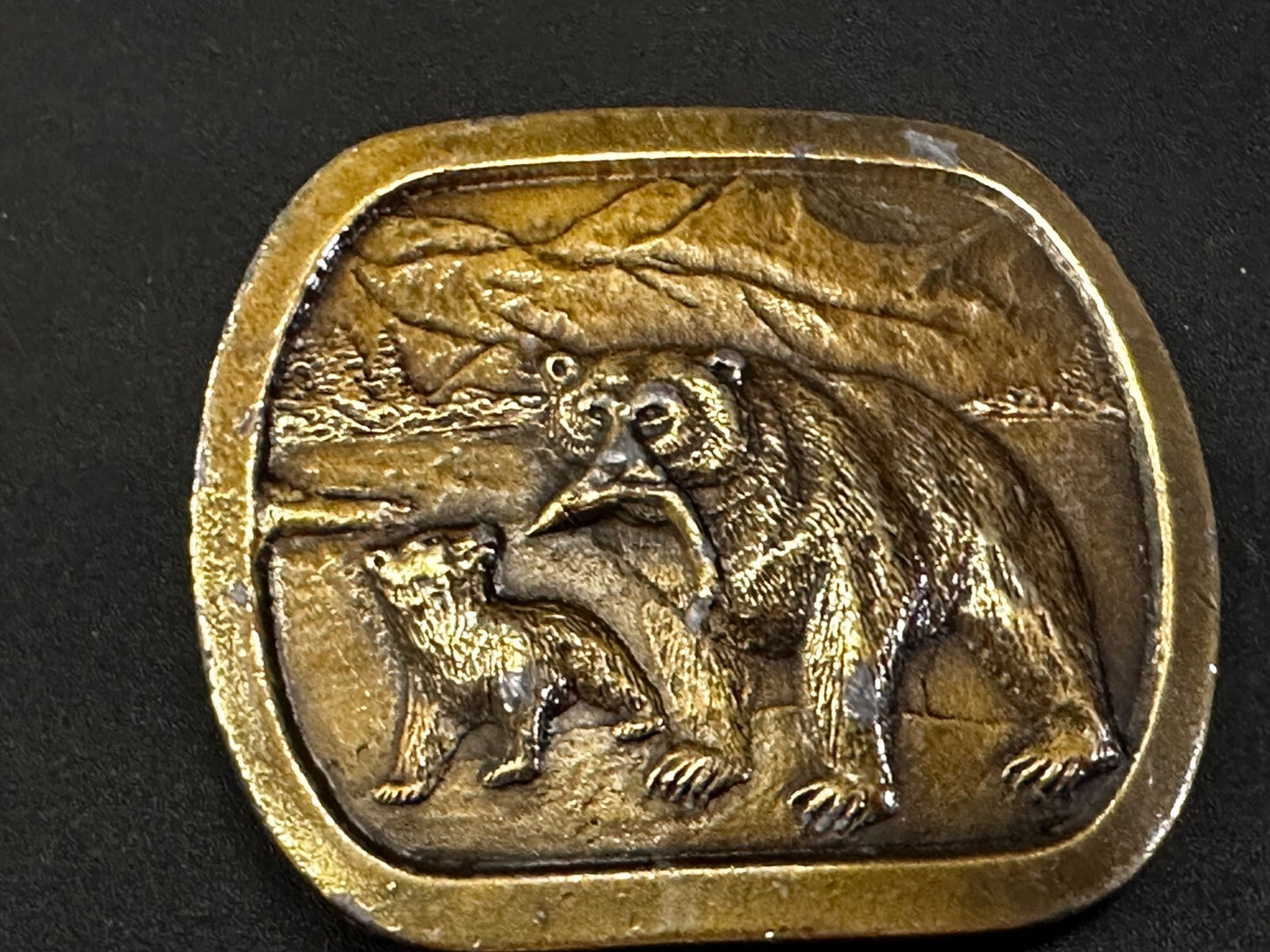 Bear with Cub Learn to Hunt Fish Mountain Scene 1976 Indiana Metal Belt Buckle