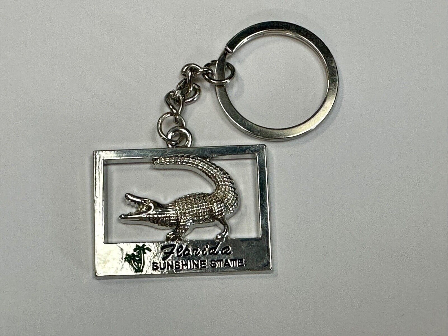 Alligator, Florida, The Sunshine State souvenir Keychain - Key Ring Chain