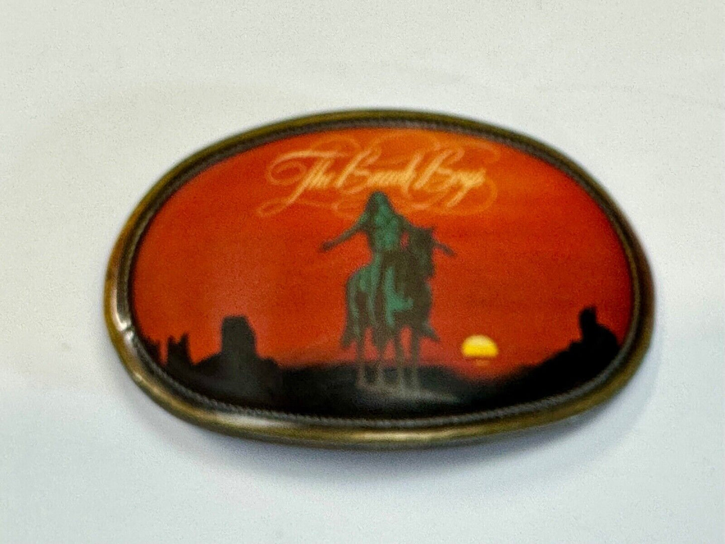 The Beach Boys, Endless Summer RARE Band Music Vintage 1976 Pacifica belt buckle