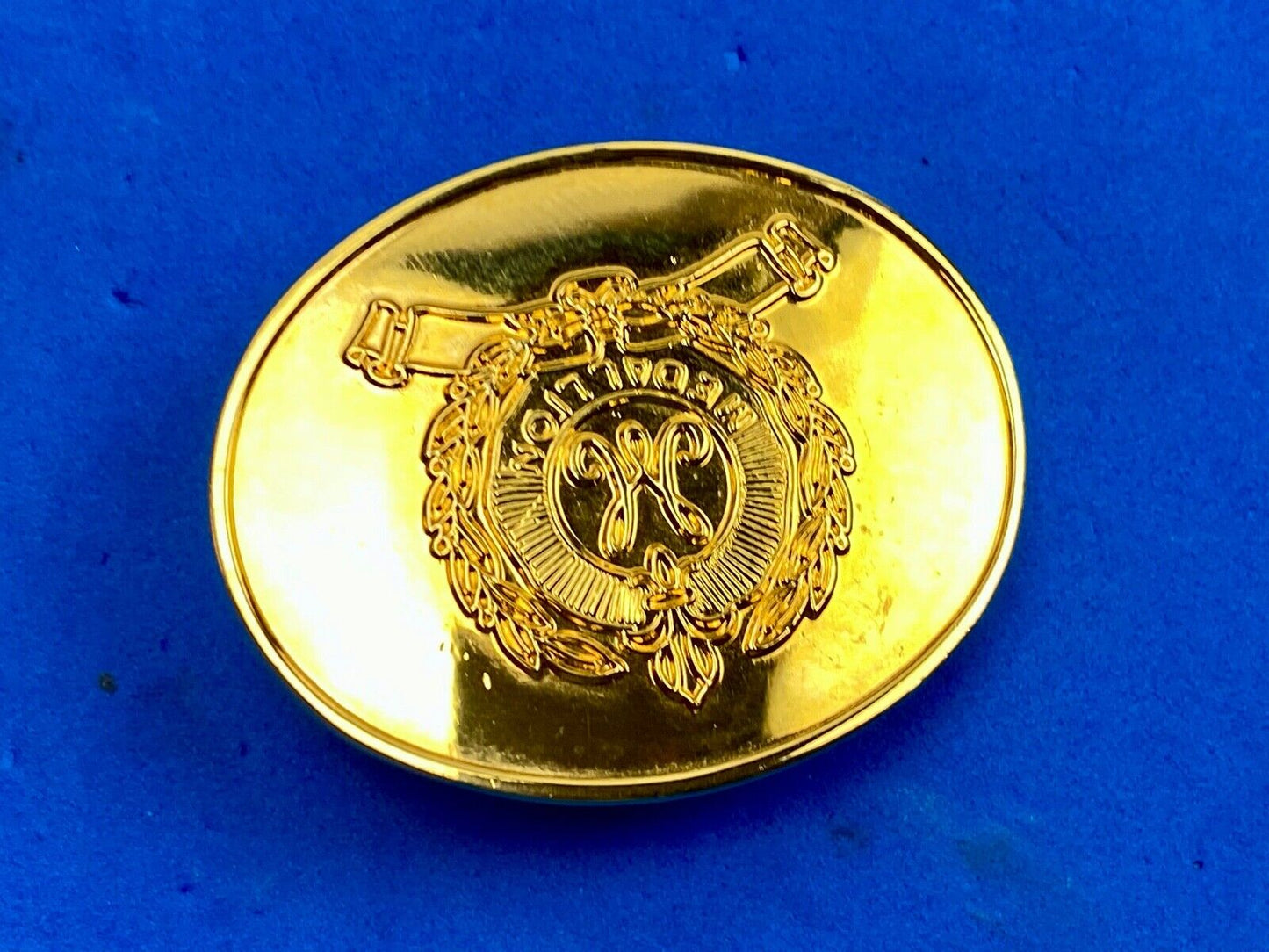 Vintage gold tone Medallion ribbon small 2" belt buckle