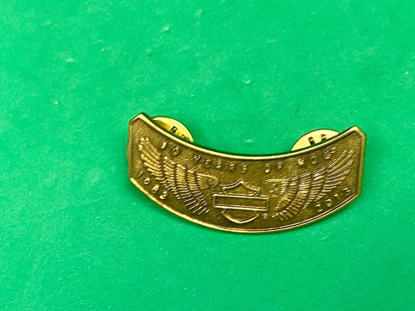2013 Ten Years Of Hog Harley Davidson Owners Group Motorcycles Pin