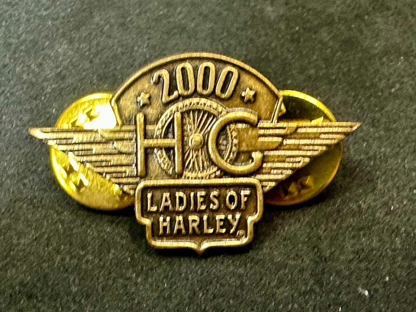 2000 Ladies of Harley Davidson Owners Group HOG NOS Pin for Jacket or Vest