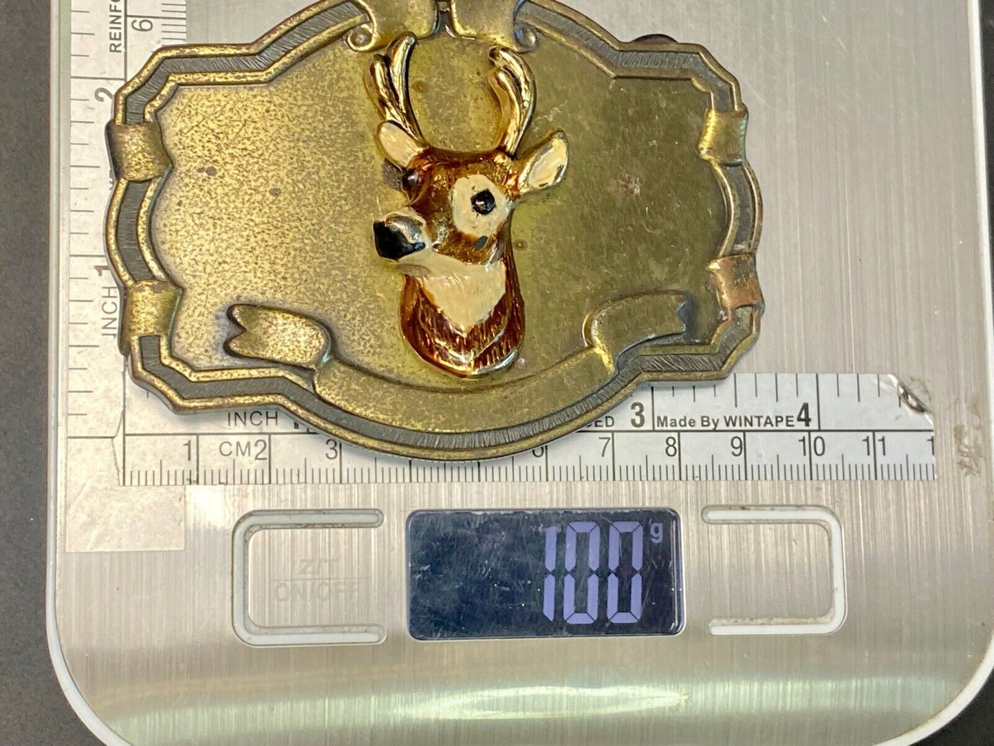 Vintage DEER Head Bust on wall! in western framed belt buckle