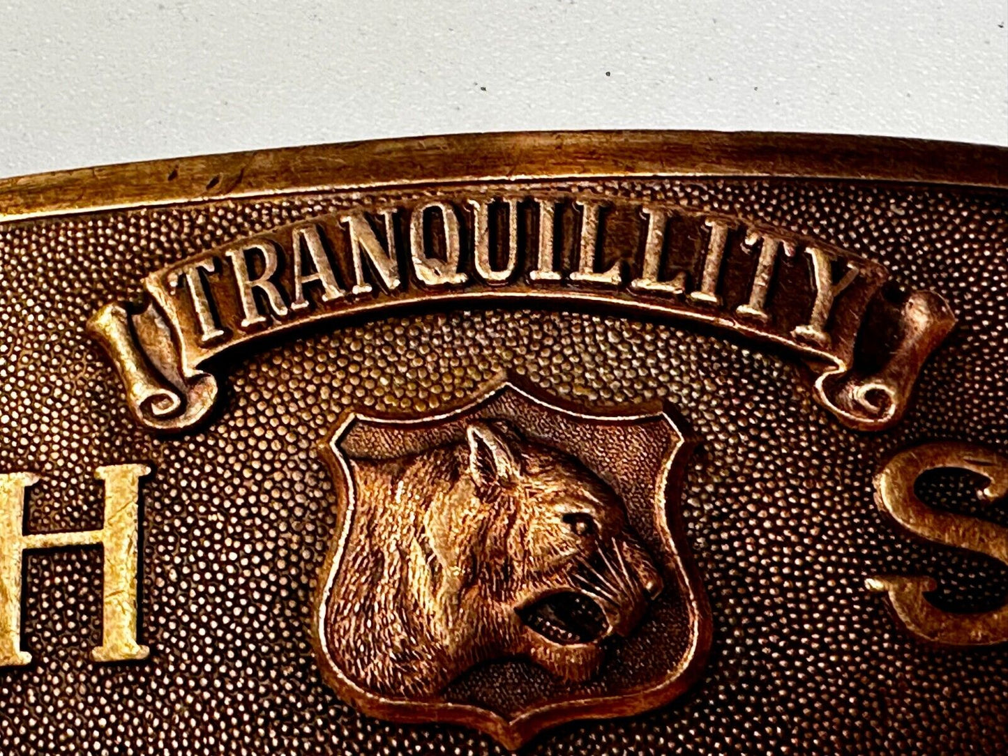Tranquility High School Logo Seal Belt Buckle Invisible Made in USA
