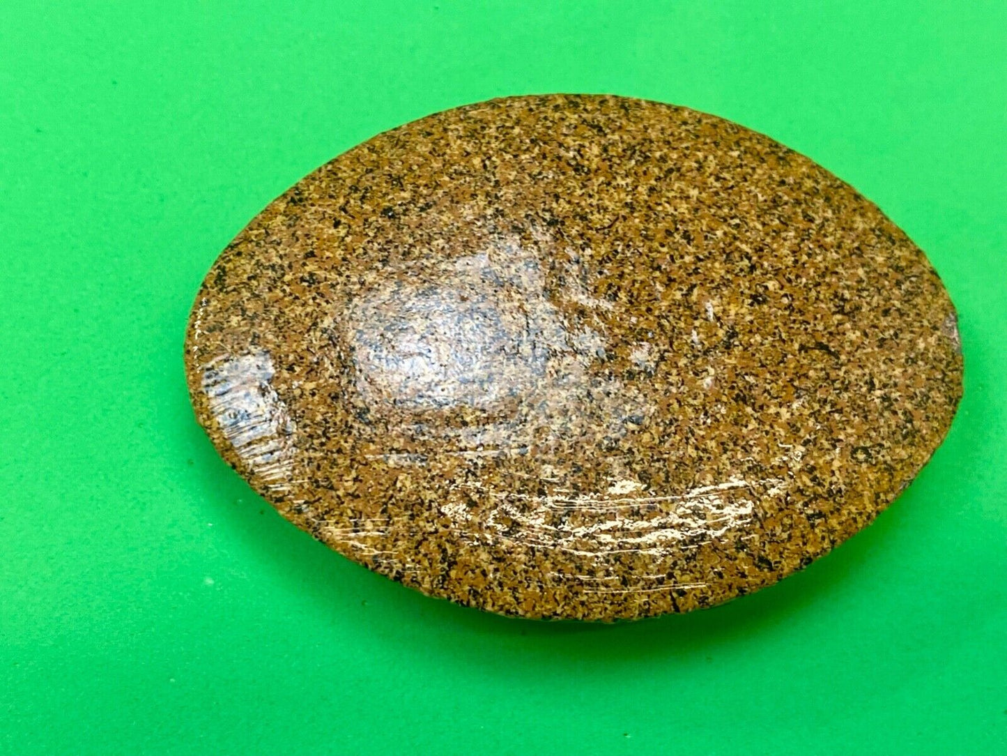 Artisan Half Egg shaped oval Brown Textured painted belt buckle