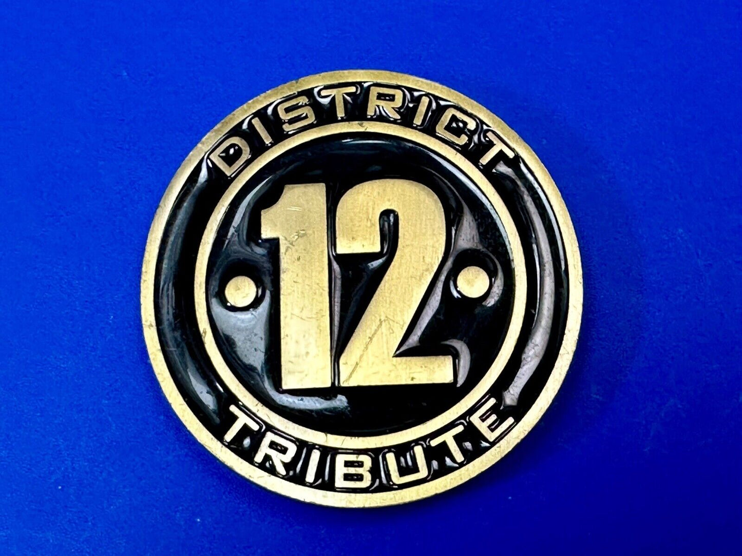 The Hunger Games, District 12 Tribute - Movie Book Emblem belt buckle