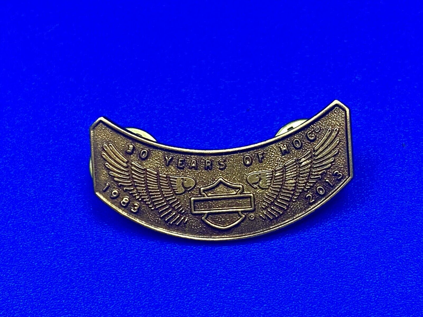 2013 Ten Years Of Hog Harley Davidson Owners Group Motorcycles Pin