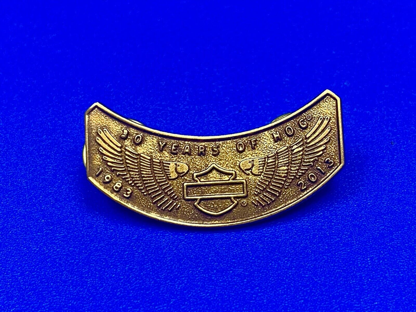 2013 Ten Years Of Hog Harley Davidson Owners Group Motorcycles Pin