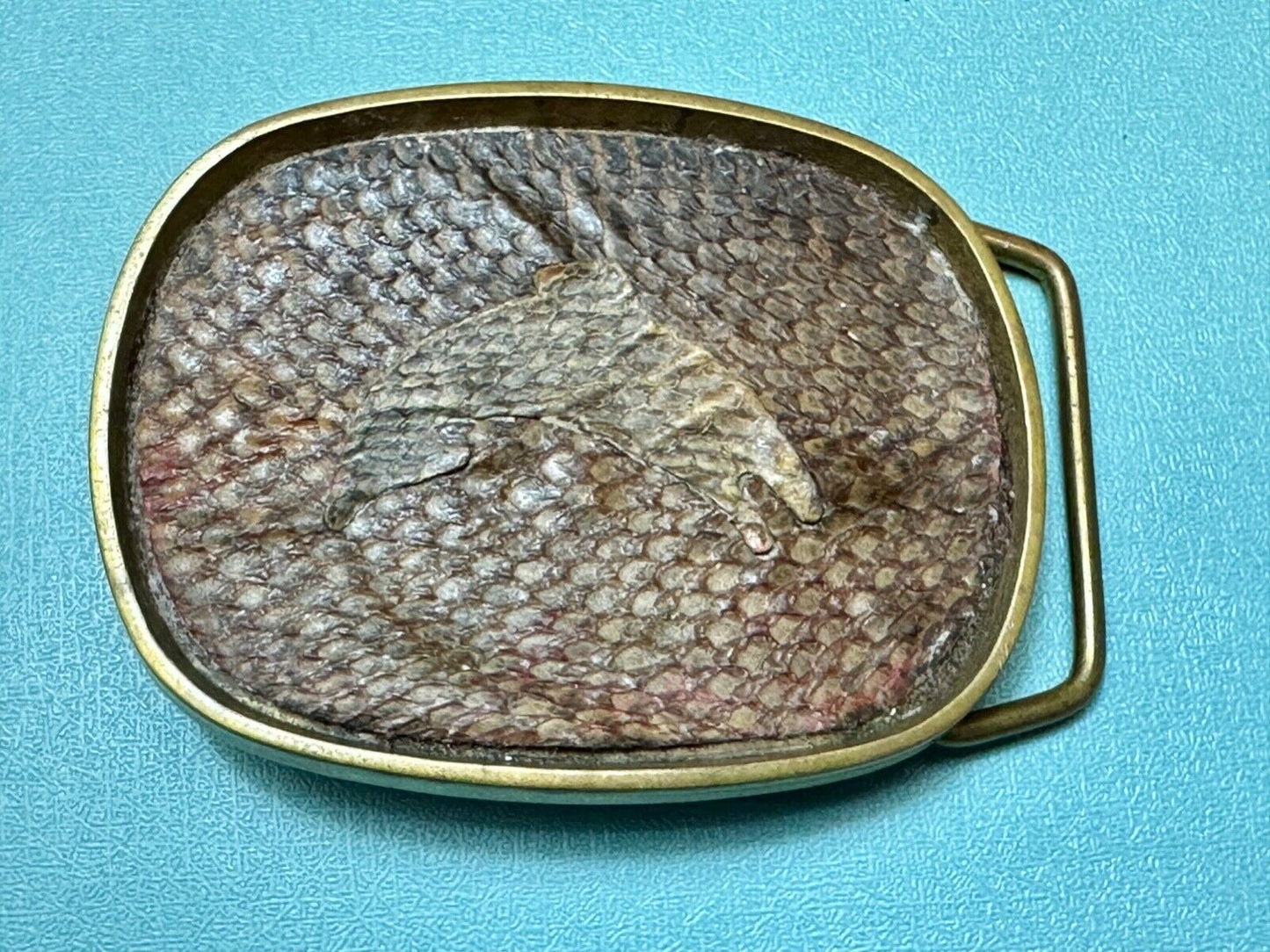 Artisan jumping fish on snake skin solid brass belt buckle