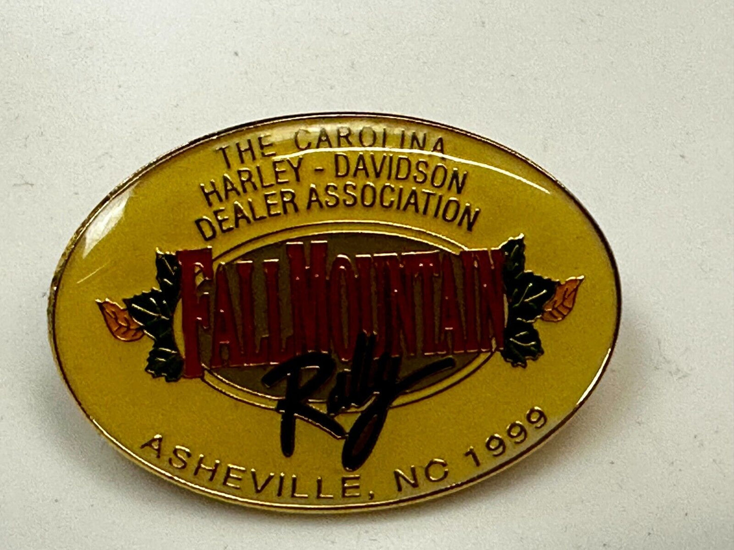 The Carolina Harley Davidson Dealers Association Falls Mountain 1999 Pin