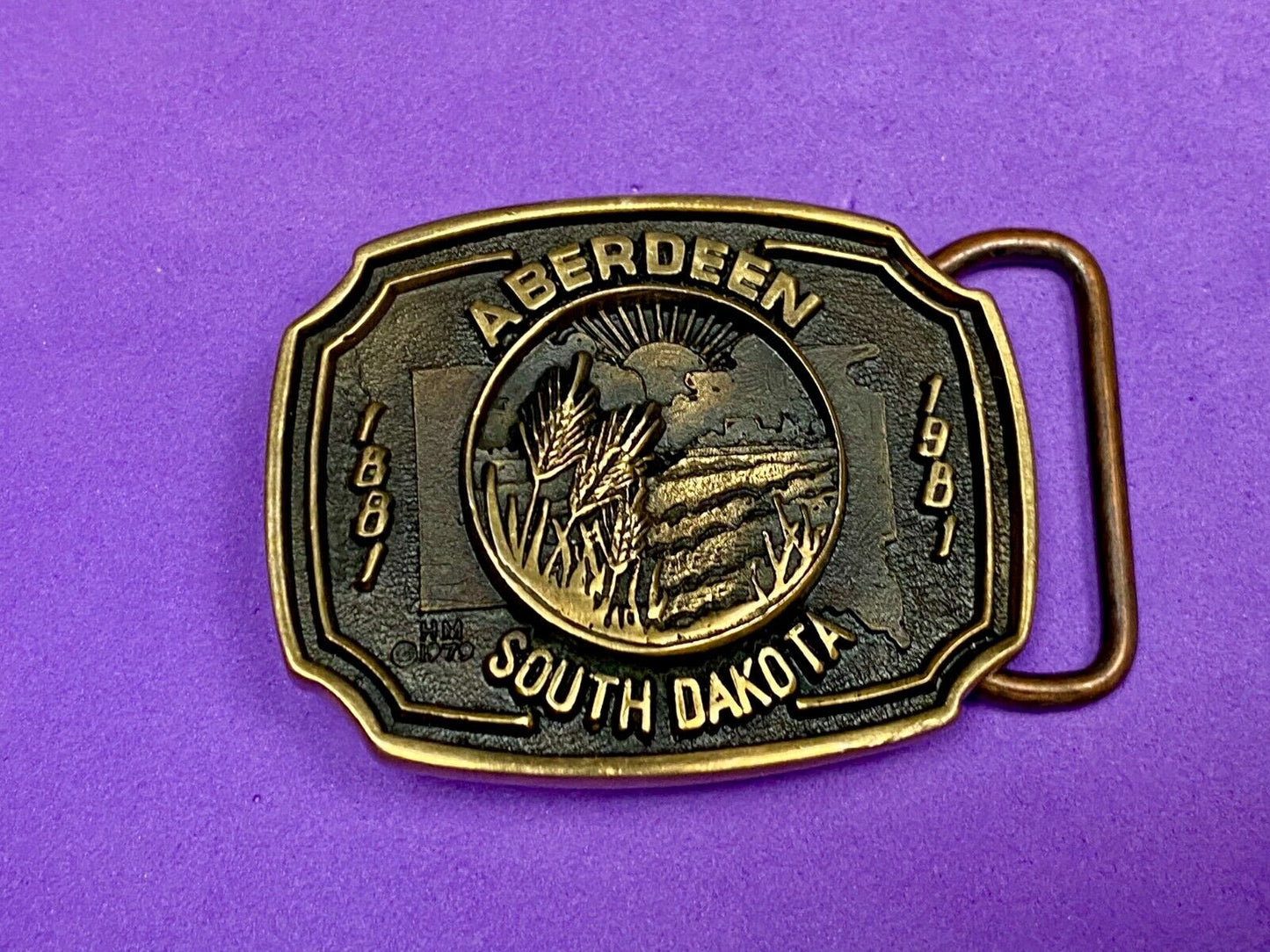 Vintage 1979 Aberdeen South Dakota 1889 Heritage Mint Solid Brass Belt Buckle