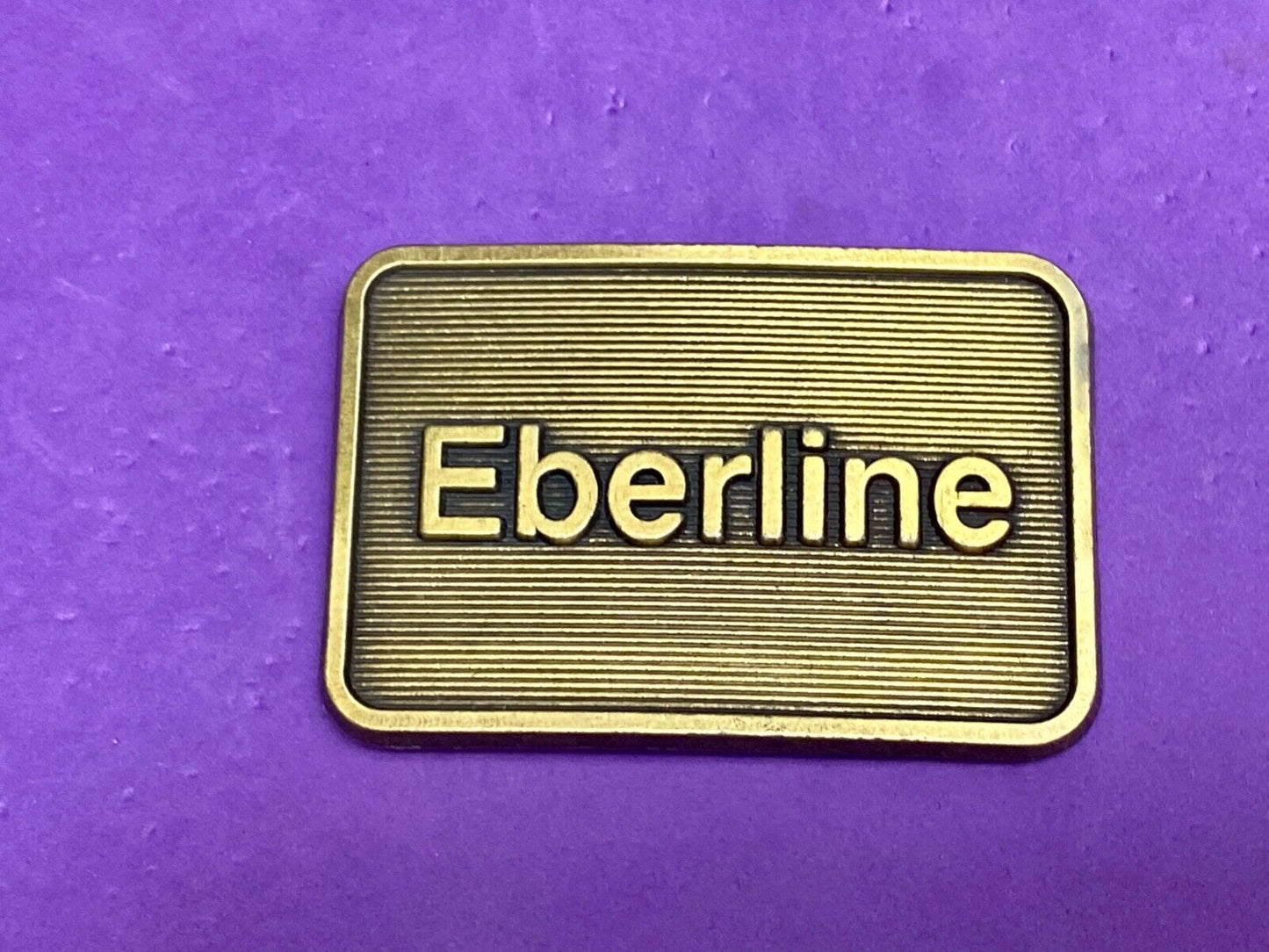 Eberline Company Albuquerque New Mexico Radiological & Environmental Services